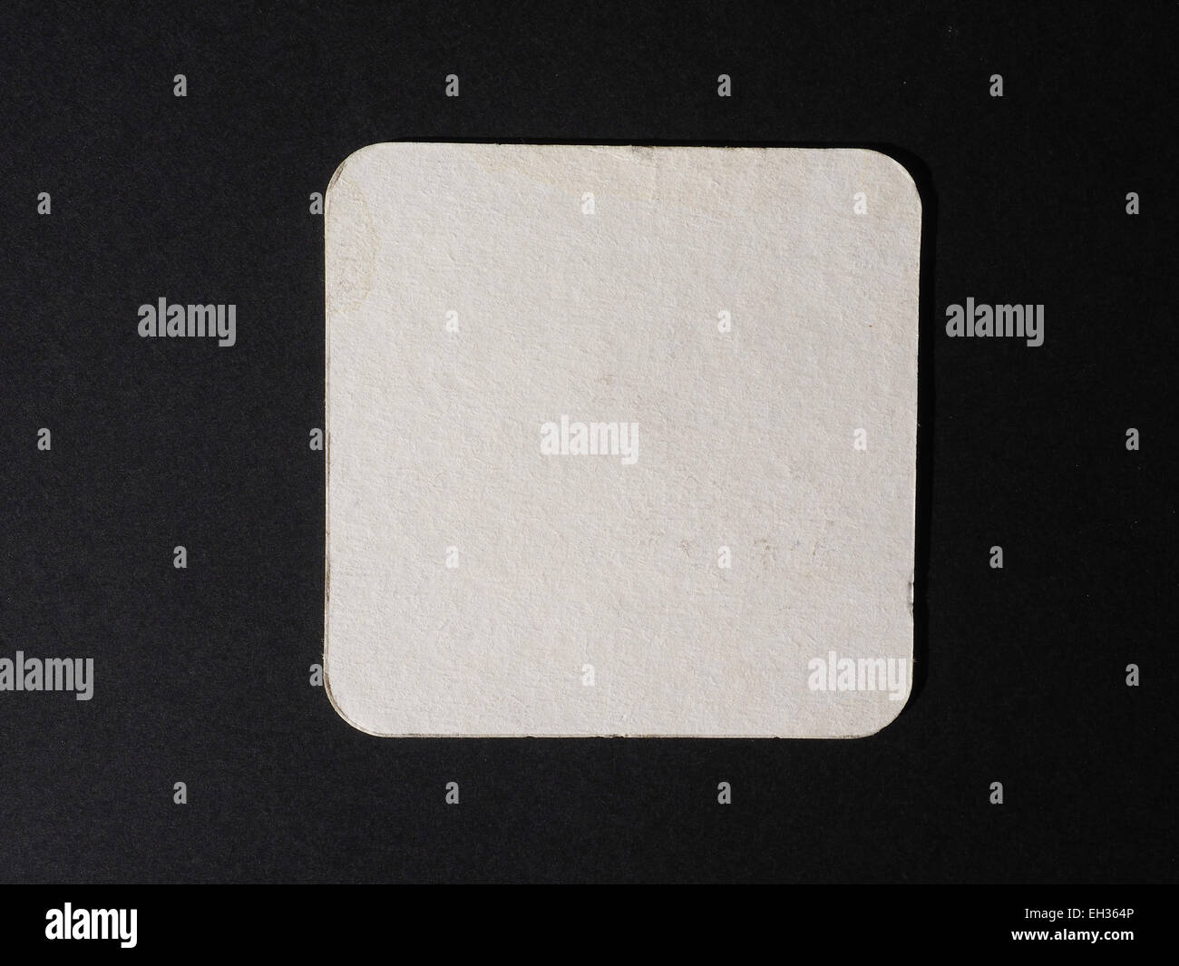 Blank cardboard beermat for a pint of beer Stock Photo