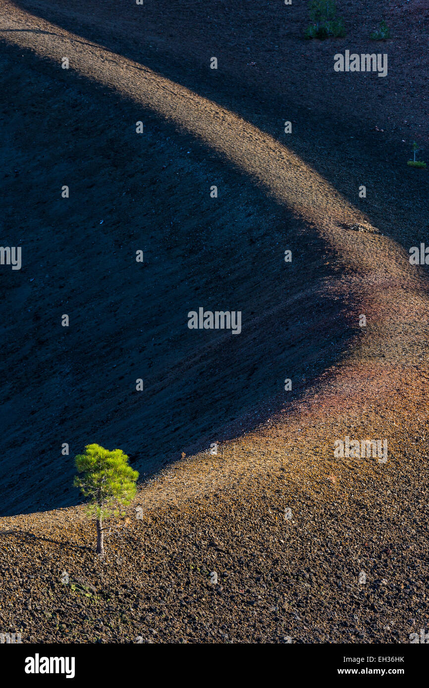 Rim of the volcanic cinder cone along the Cinder Cone Trail in Lassen ...