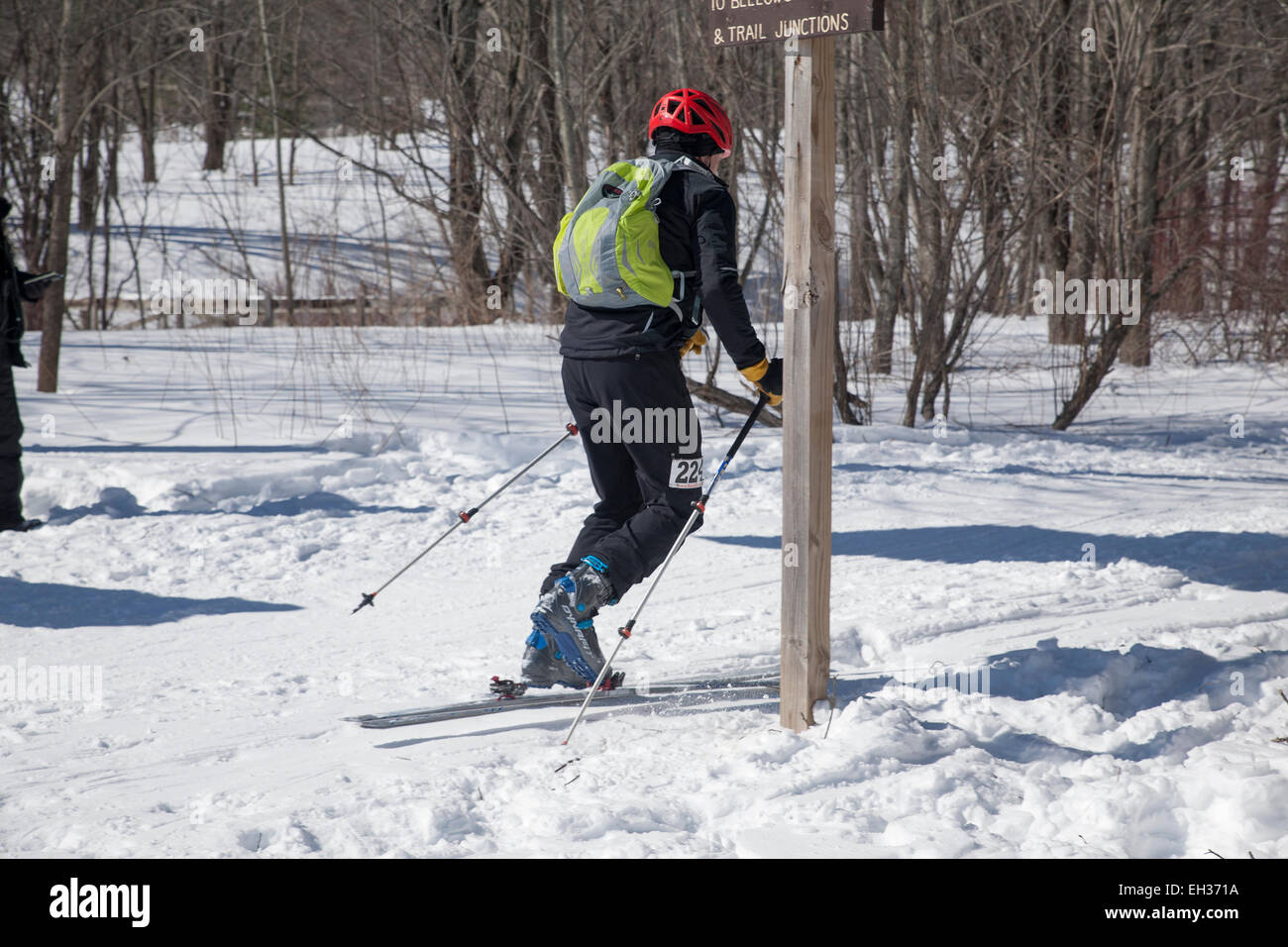 A skier at the halfway mark ready to climb  at the Thunderbolt Ski Race in March 2015 on Mount Greylock, Adams, MA. Stock Photo