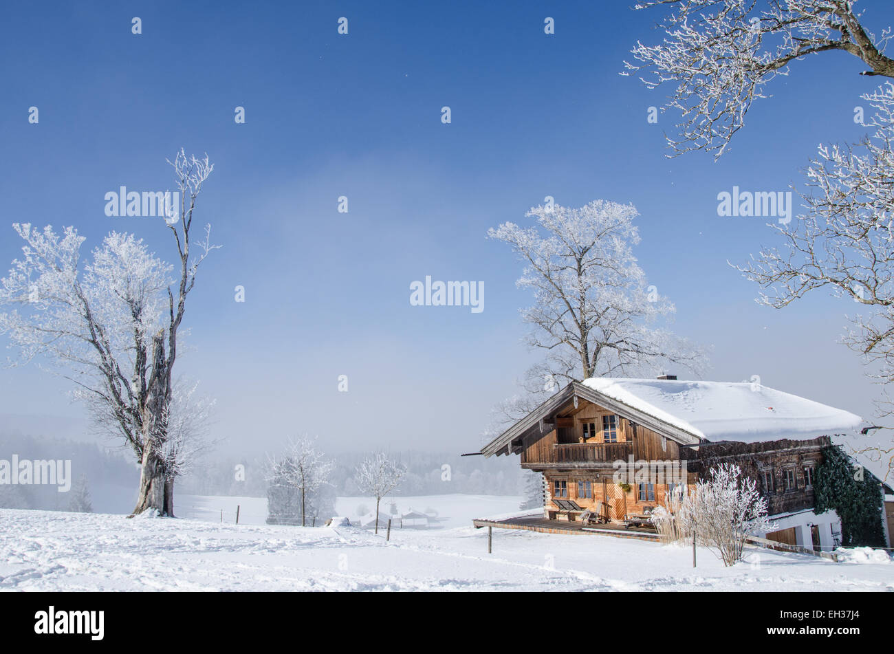 Farmhouse in Upper Bavaria on a wintery day with hoar frost and a clear sky Stock Photo