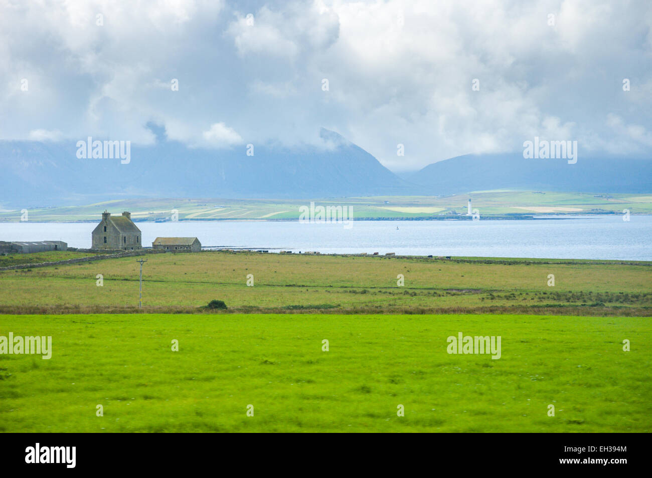 Scottish green landscape with farm and lighthouse in background in cloudy day, Orkney island Stock Photo