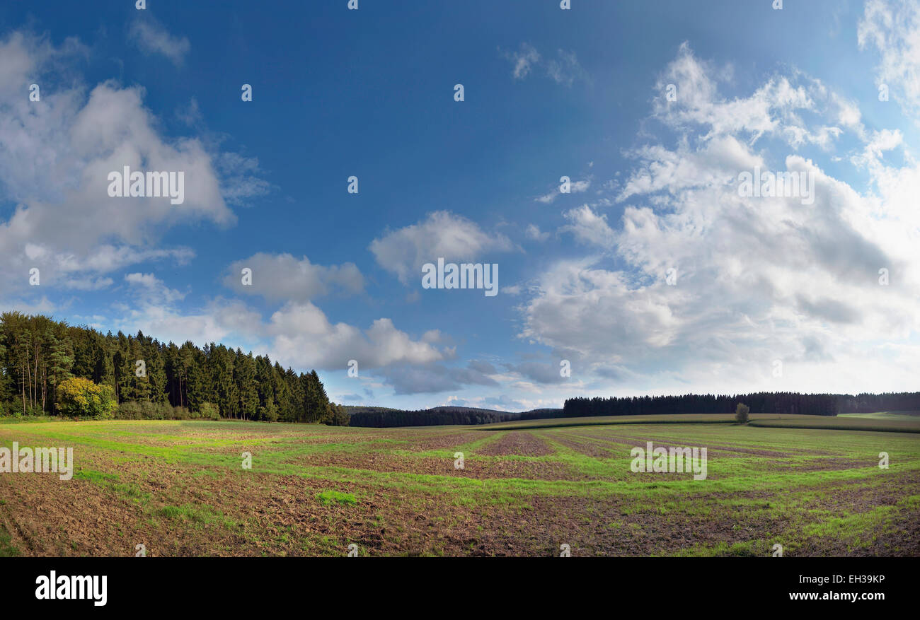 Landscape of Fields in Early Autumn, Oberpfalz, Bavaria, Germany Stock Photo