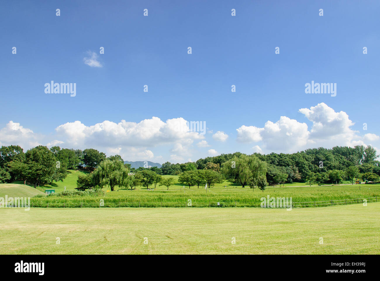 View of Seoul Olympic park in a sunny day Stock Photo