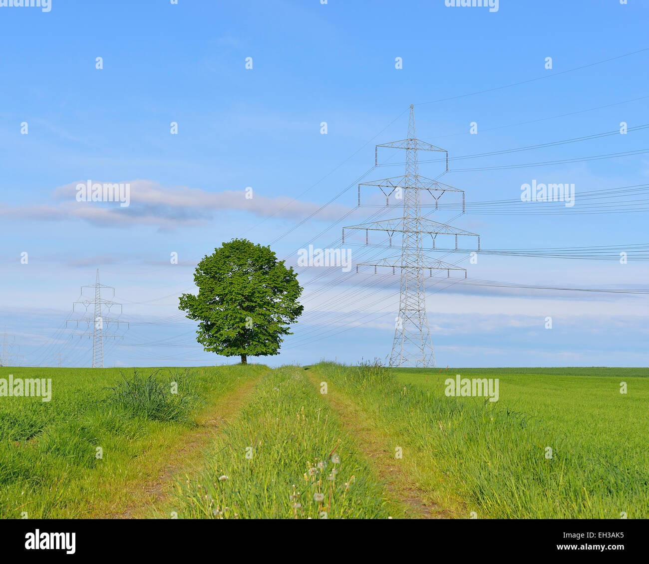 Tree in field next to pathway with hydro tower, Schwabhausen, Upper Bavaria, Bavaria, Germany Stock Photo