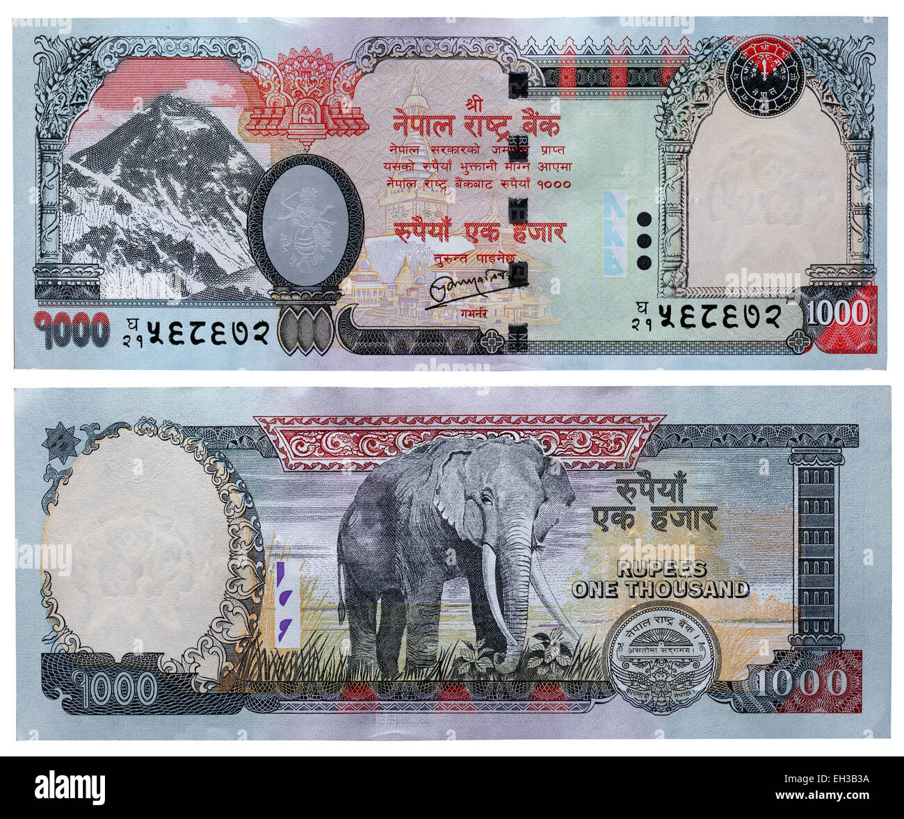 1000 rupees banknote, Mount Everest and elephant, Nepal, 2008 Stock Photo