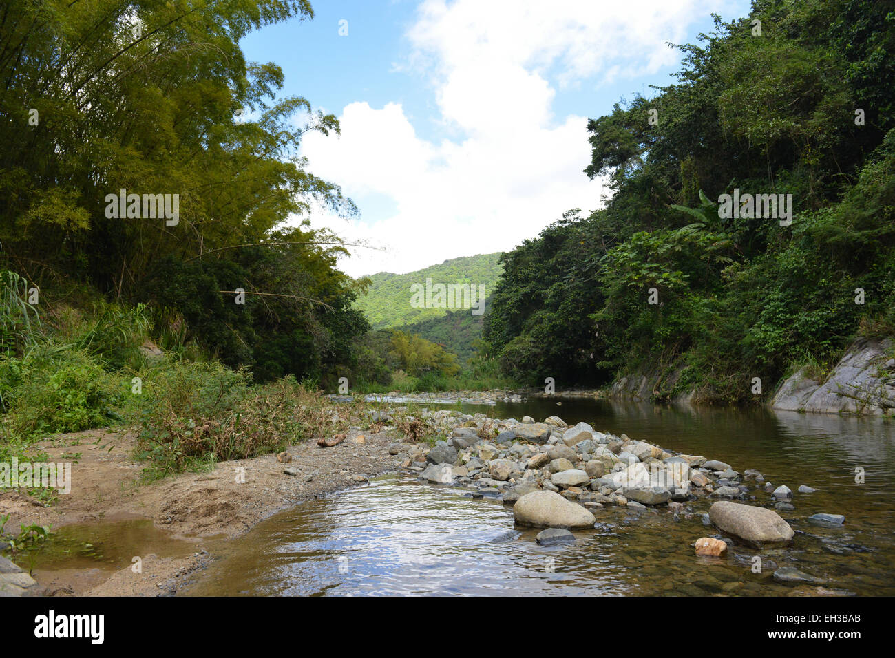 Rio Saliente where the La Piedra Escrita with Taino petroglypys is located. Jayuya, Puerto Rico. Stock Photo