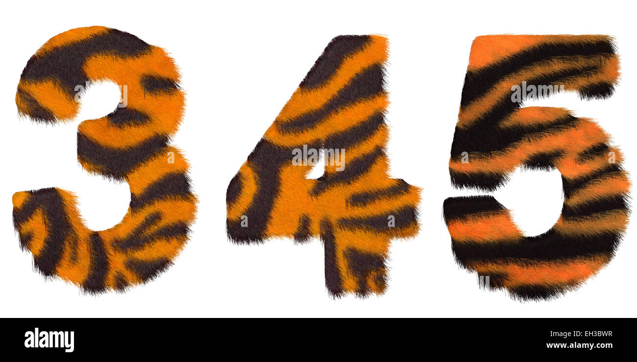 Tiger fell 3 4 and 5 figures isolated over white Stock Photo