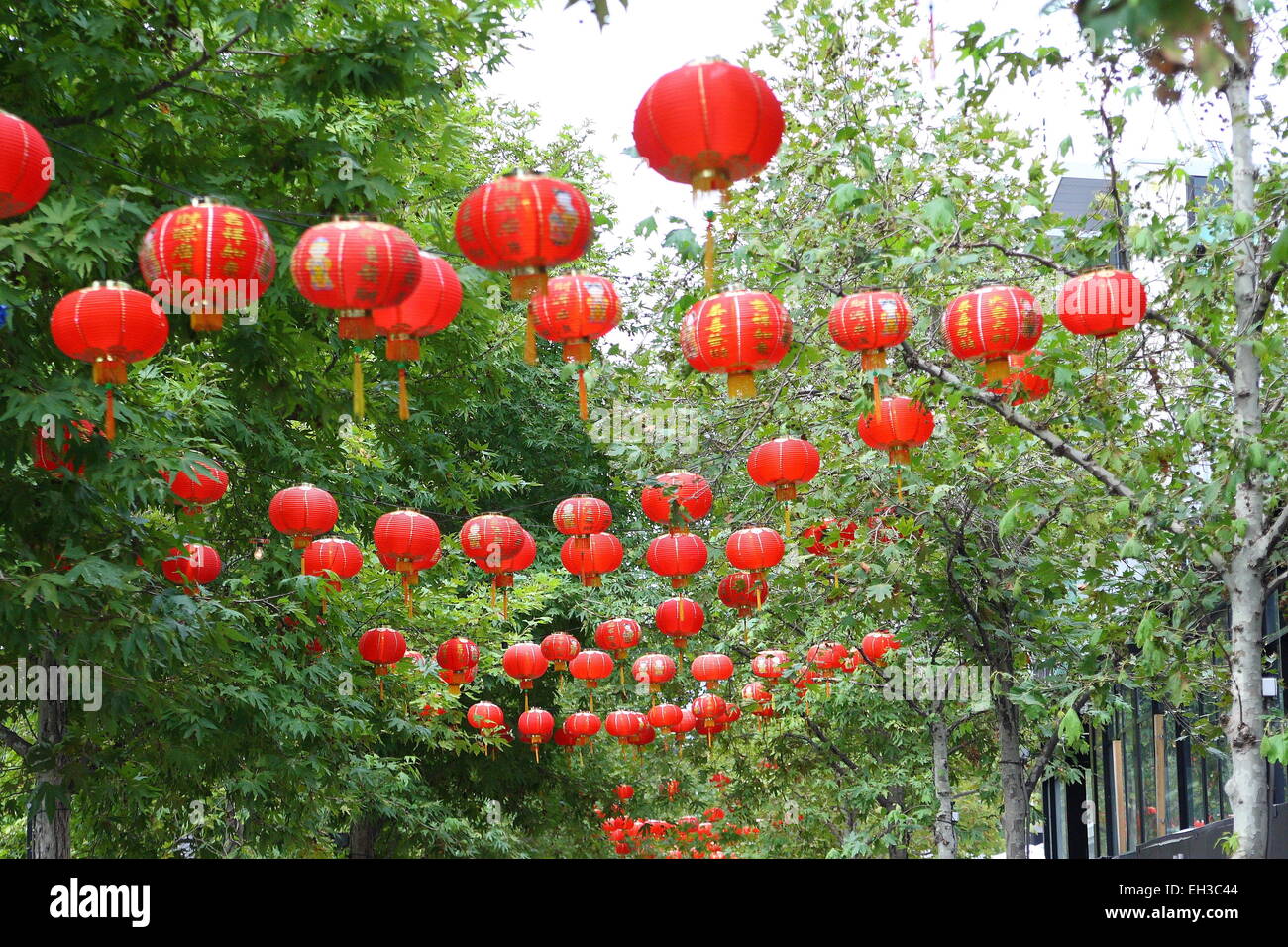 Red Lanterns hanging on trees during Lunar Festival in Southbank