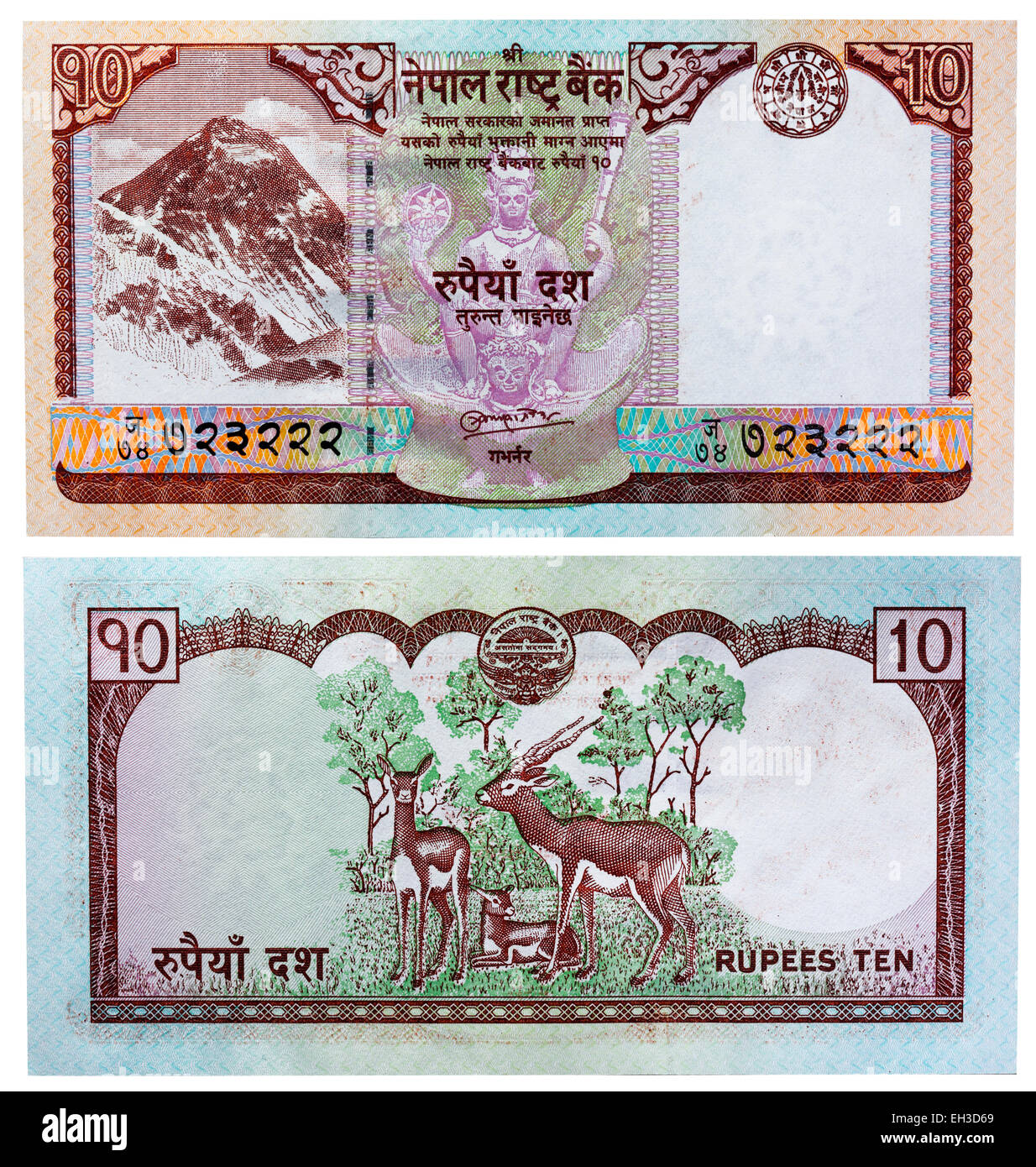 10 rupees banknote, Mount Everest and antelopes, Nepal, 2008 Stock Photo