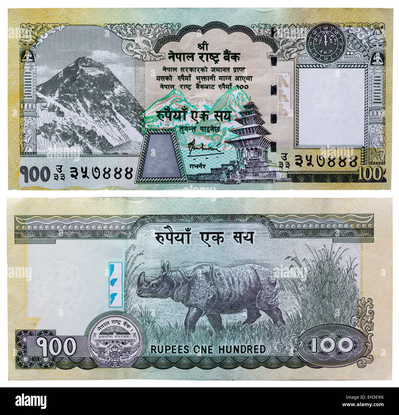 100 rupees banknote, Mount Everest and rhinoceros, Nepal, 2008 Stock Photo