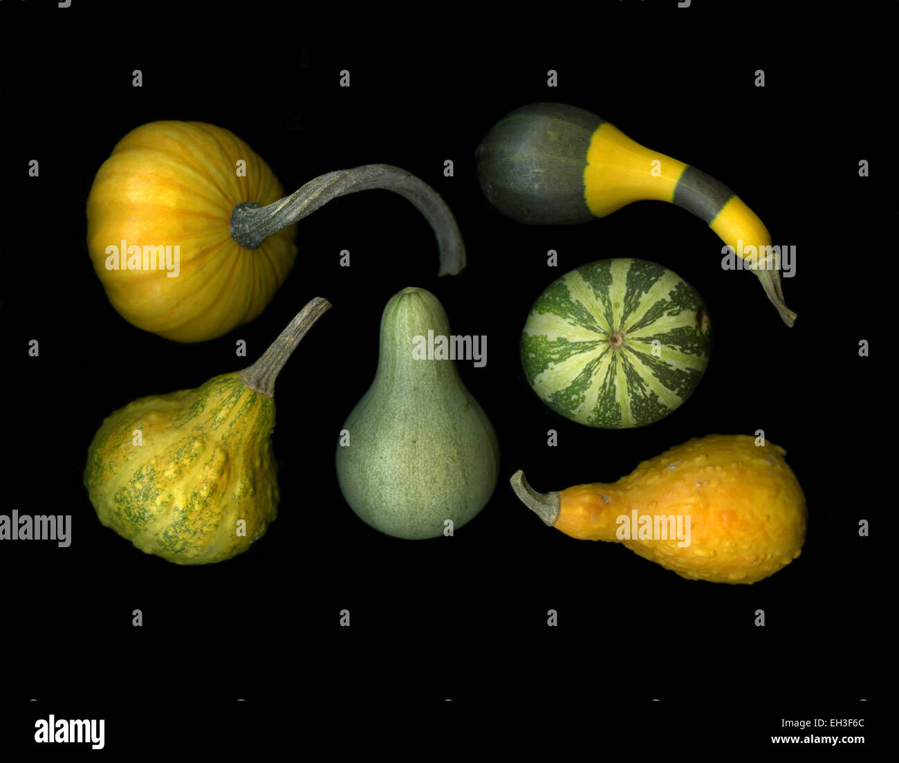 Seasonal pumpkins isolated on black background Stock Photo - Alamy