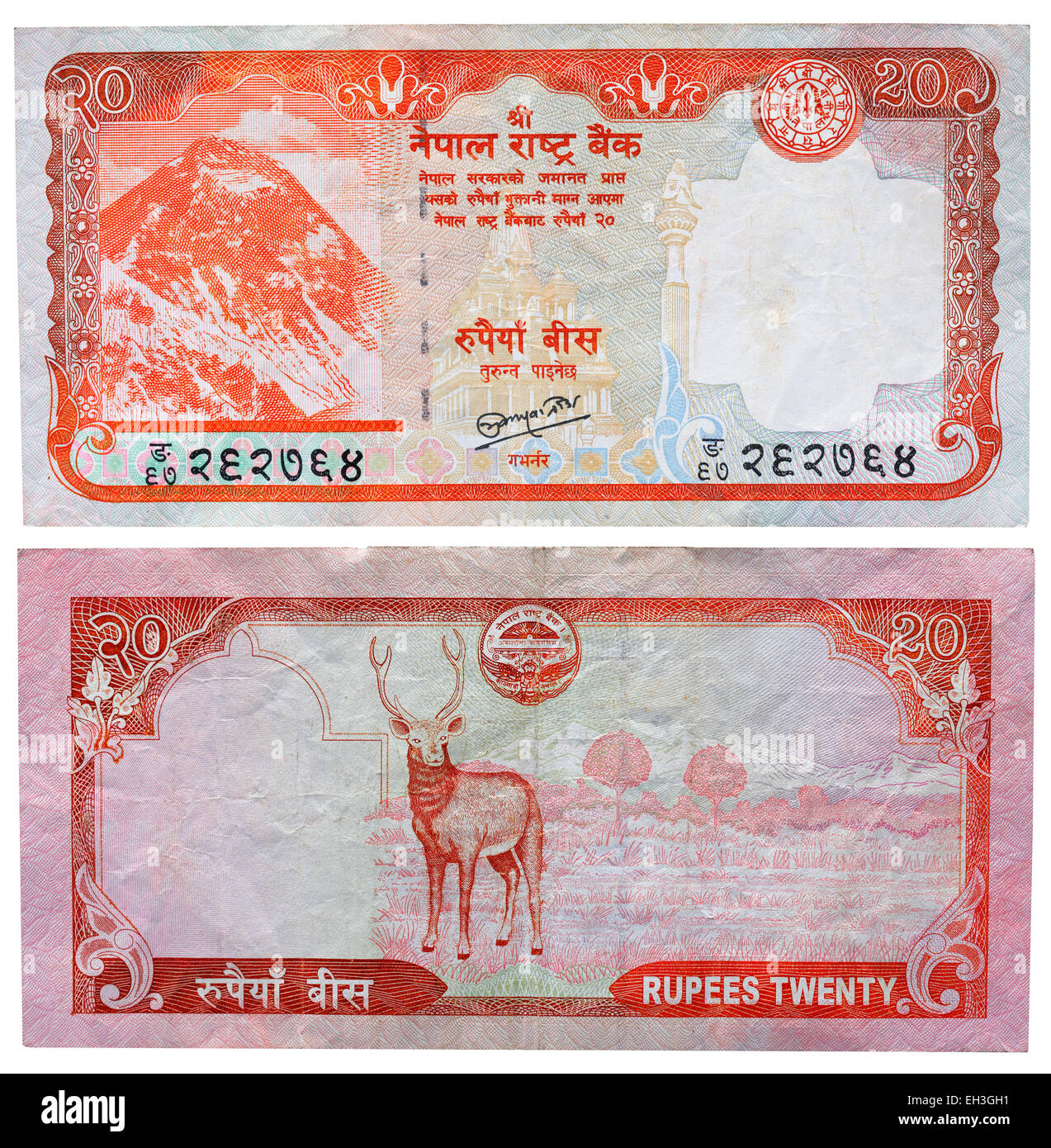 Nepal Money Note Cut Out Stock Images Pictures Alamy nepal-money-note-cut-out-stock-images-pictures-alamy
