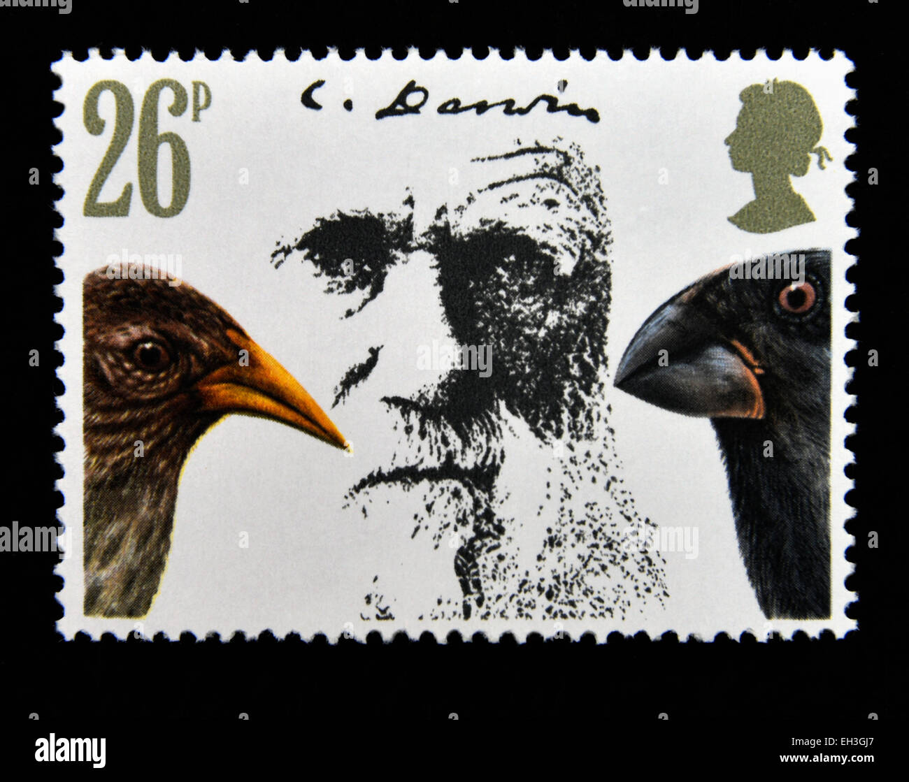 Postage stamp. Great Britain. Queen Elizabeth II. 1982. Death Centenary of Charles Darwin. Charles Darwin and Birds. Stock Photo