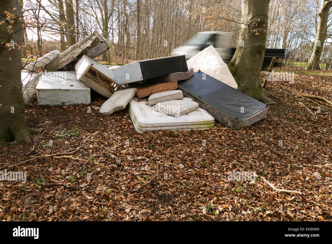 Tipper truck drives past beds and mattresses fly tipped in woodland area, UK. 03/03/15 unsharpened Stock Photo