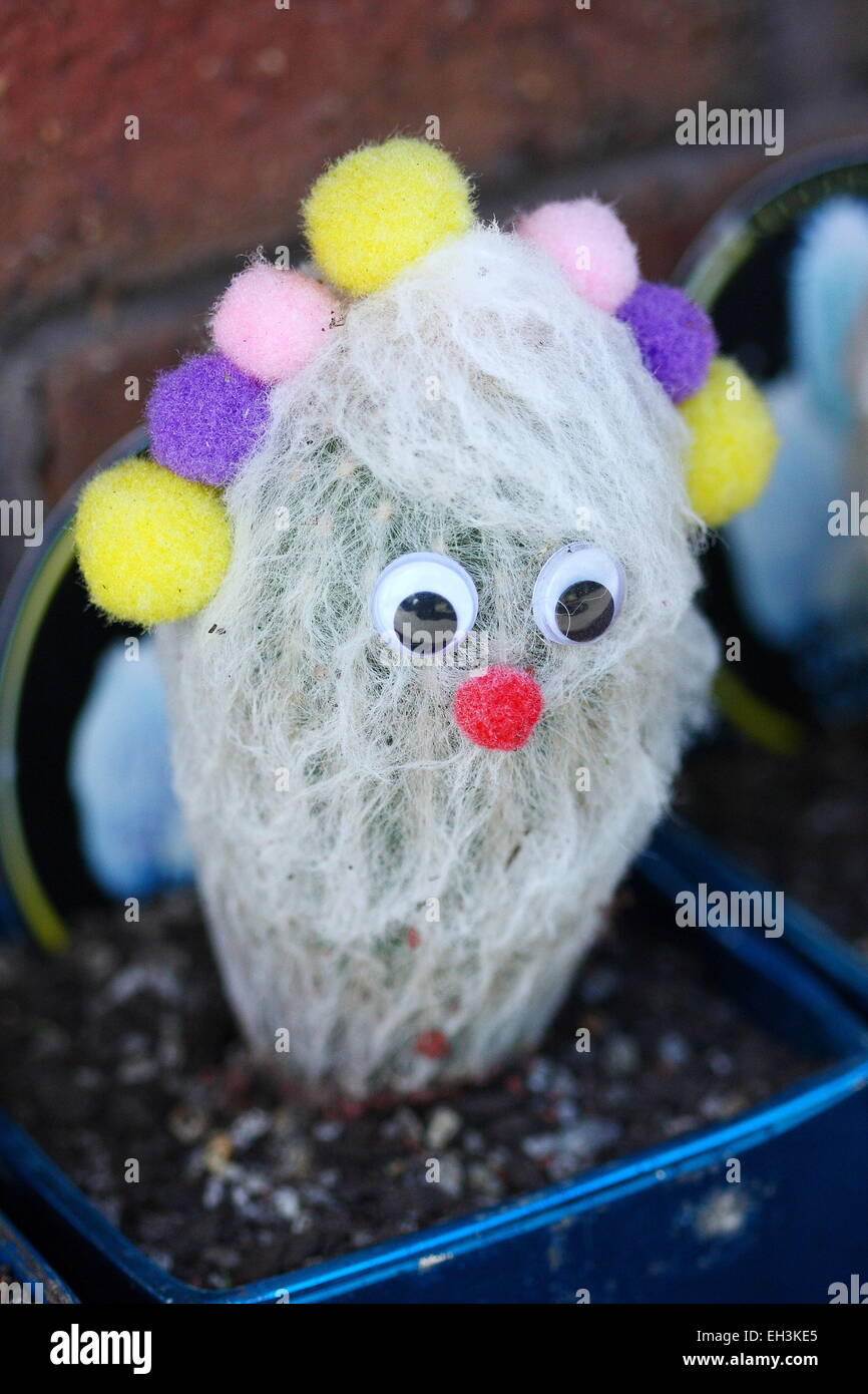 Espostoa lanata cactus decorated with fake eyes and nose Stock Photo