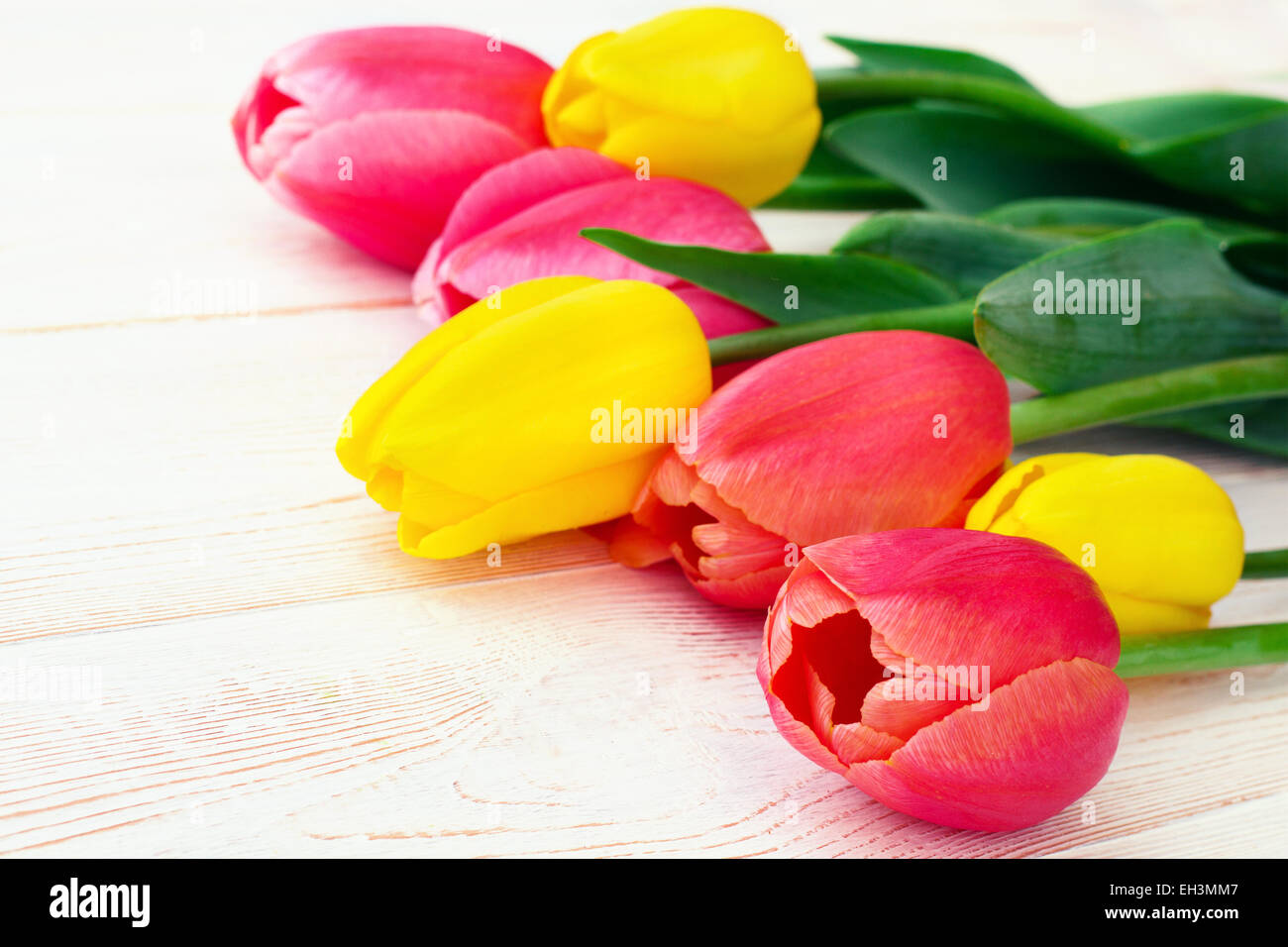 Bouquet of spring flower tulips Stock Photo - Alamy