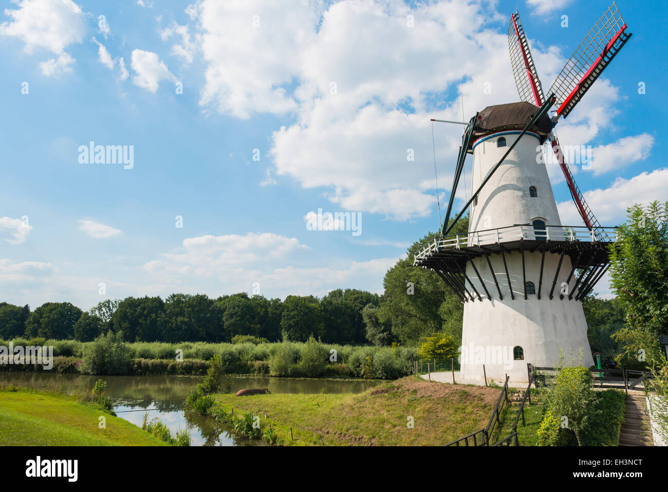 White mill 'De Vlinder' in Deil, the Netherlands. Stock Photo