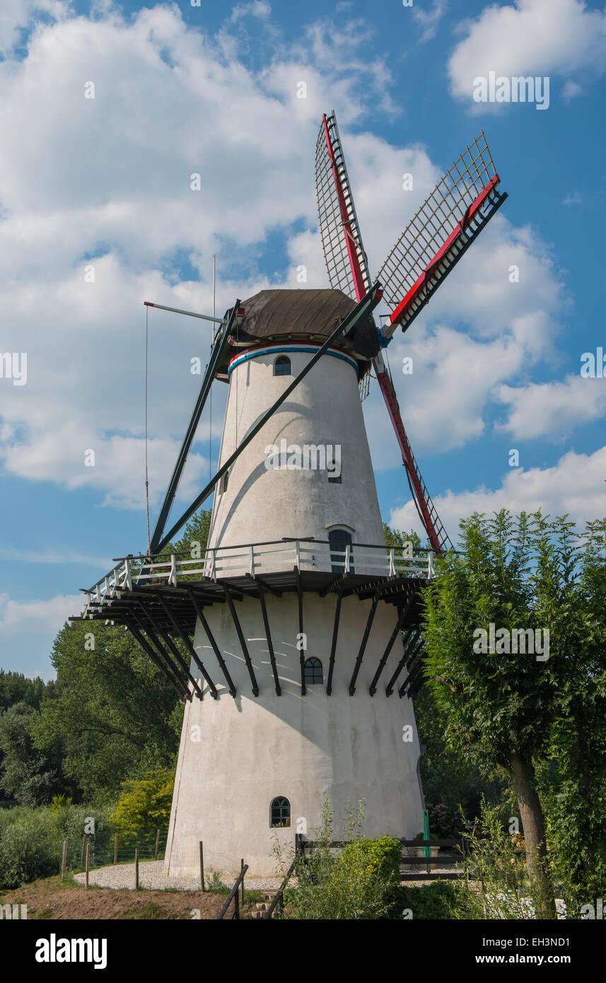 White mill 'De Vlinder' in Deil, the Netherlands. Stock Photo