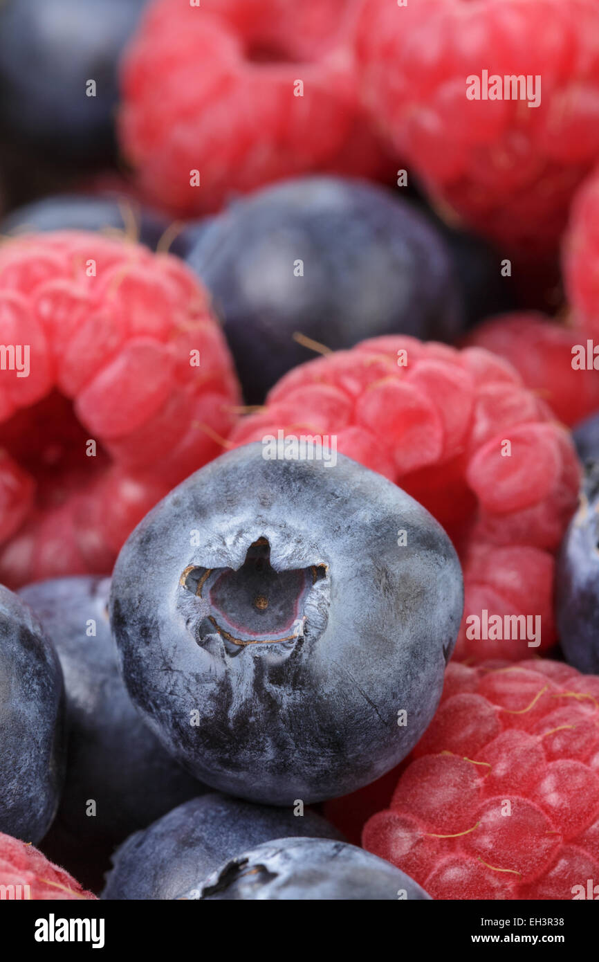 Blueberry Raspberry Size Comparison close up photo of ripe blueberry and raspberry Stock Photo - Alamy