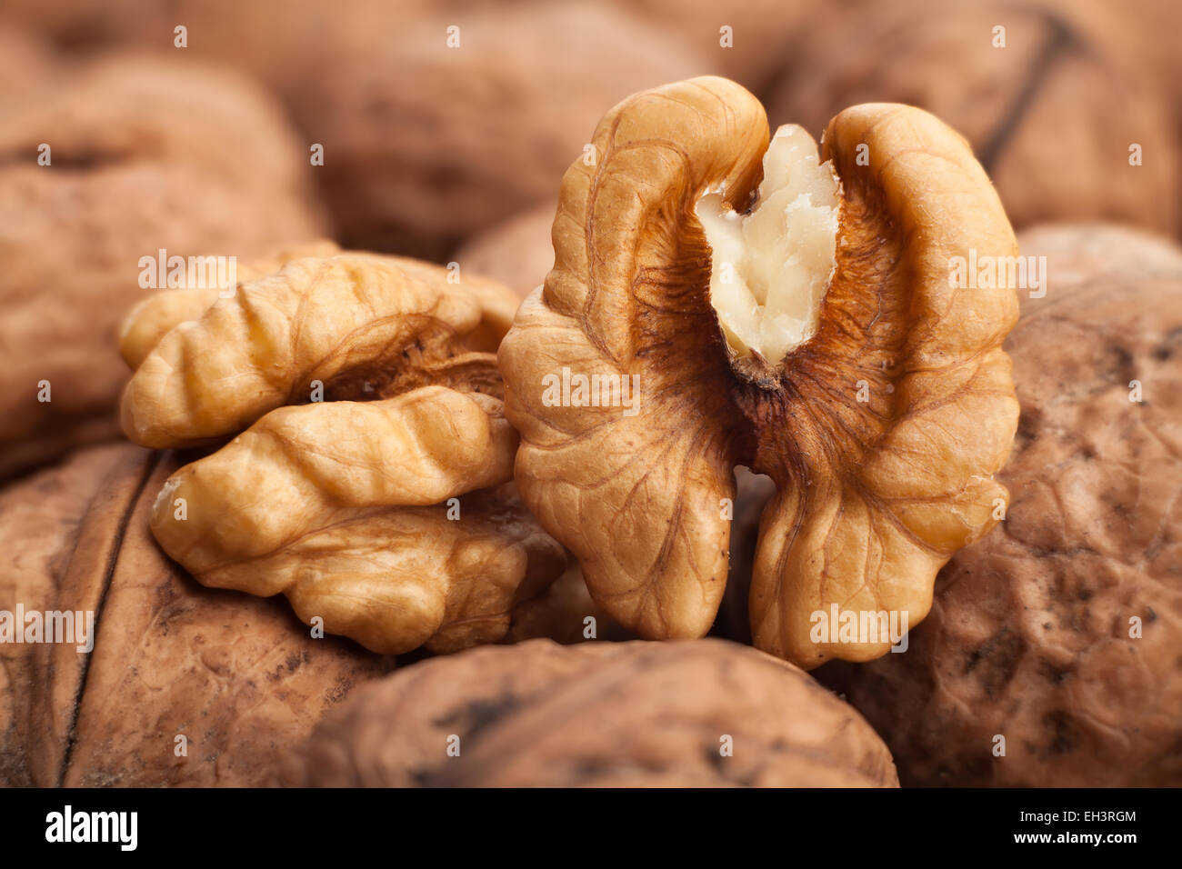 walnuts closeup Stock Photo