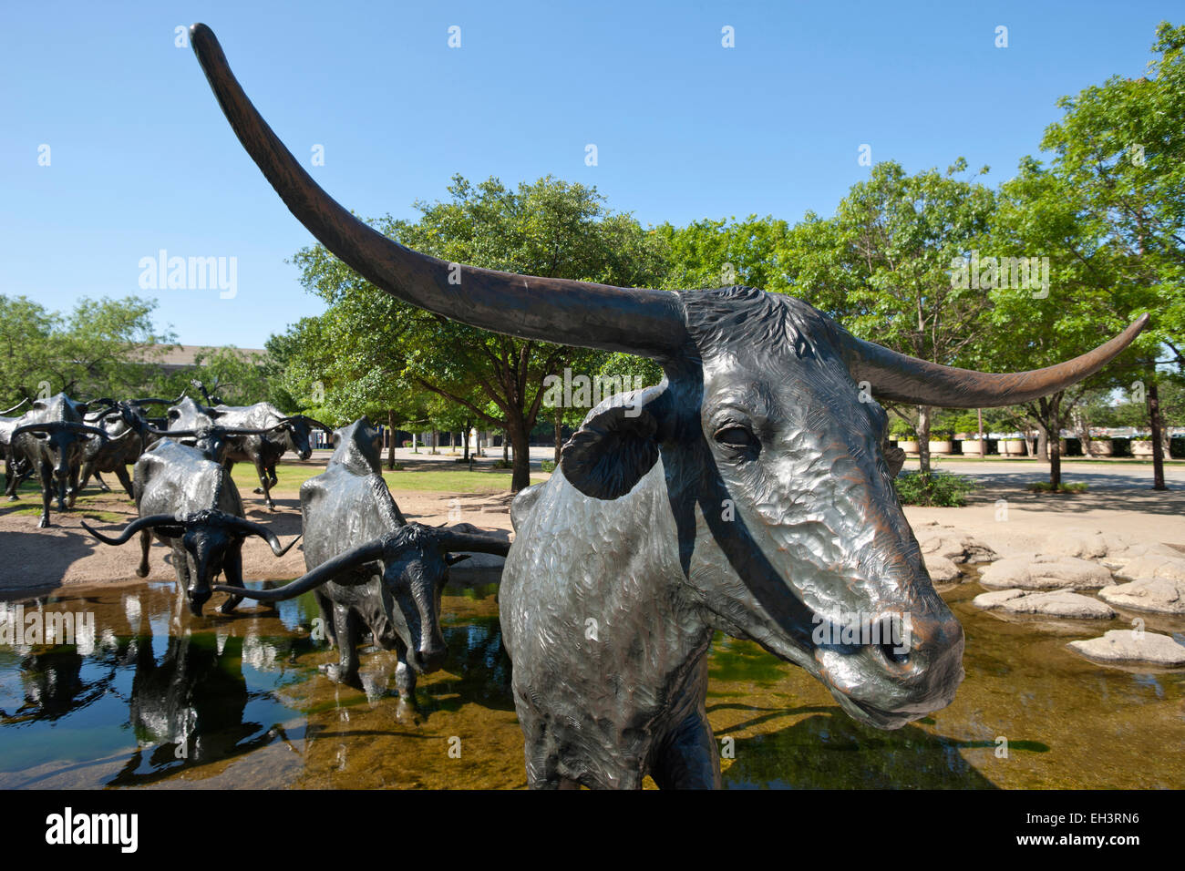 TEXAS LONGHORN SHAWNEE TRAIL CATTLE DRIVE SCULPTURE (©ROBERT SUMMERS