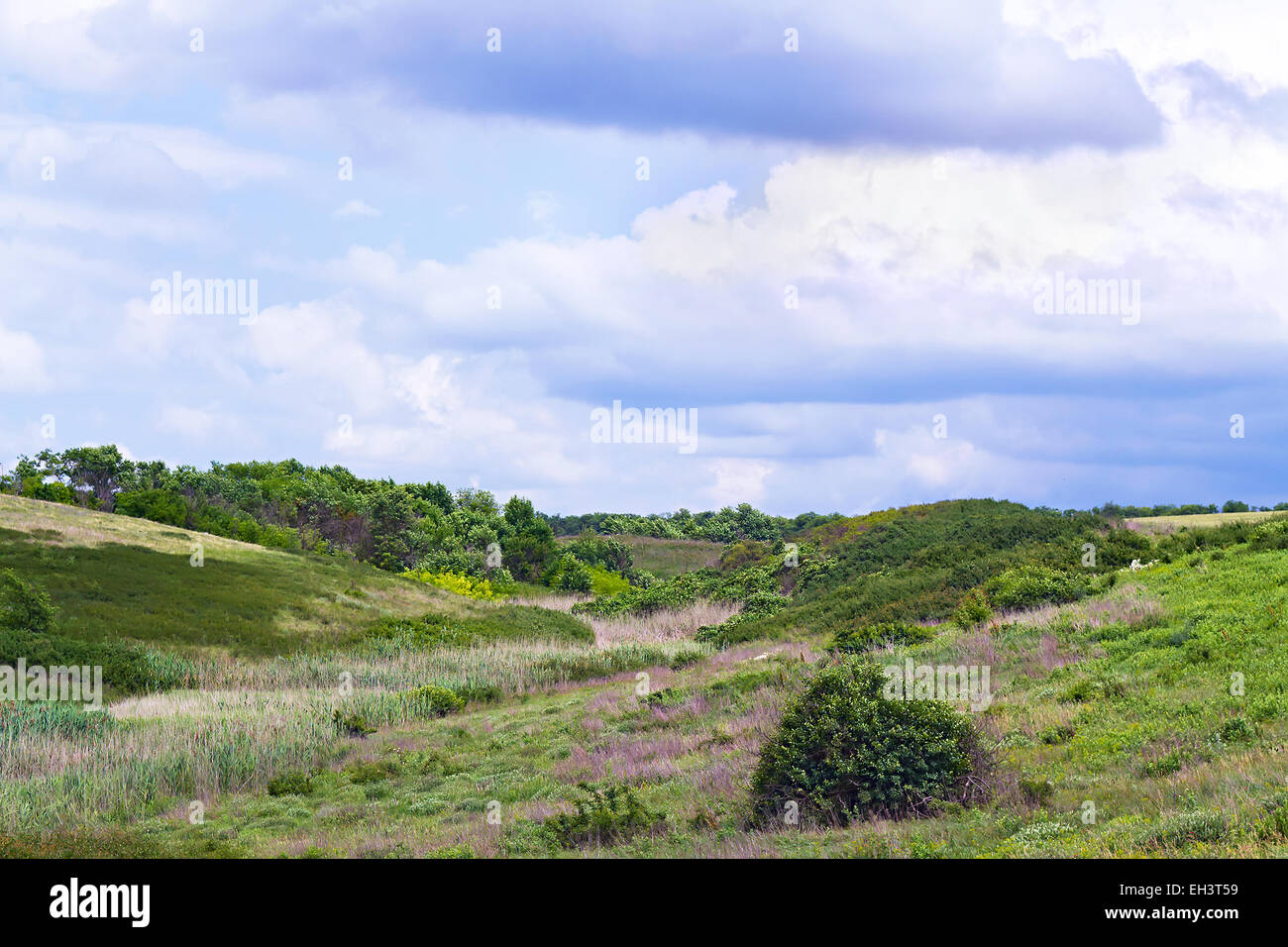 old river bed between two hills, grassy Stock Photo