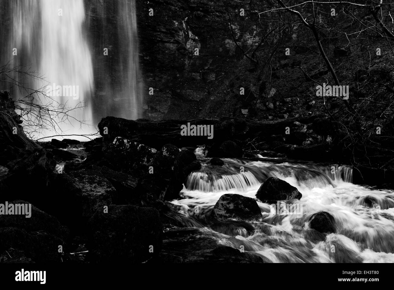 Fast flowing winter water at Whitfield Gill Force near Askrigg, Wensleydale, North Yorkshire, England, UK Stock Photo