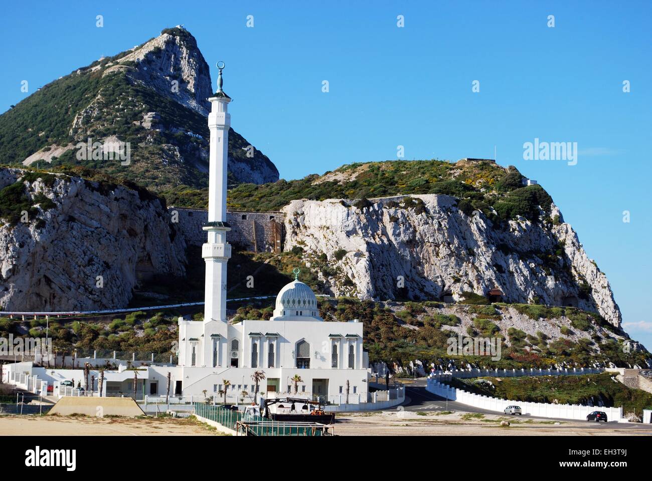 The Abdul Aziz Mosque Stock Photos & The Abdul Aziz Mosque 
