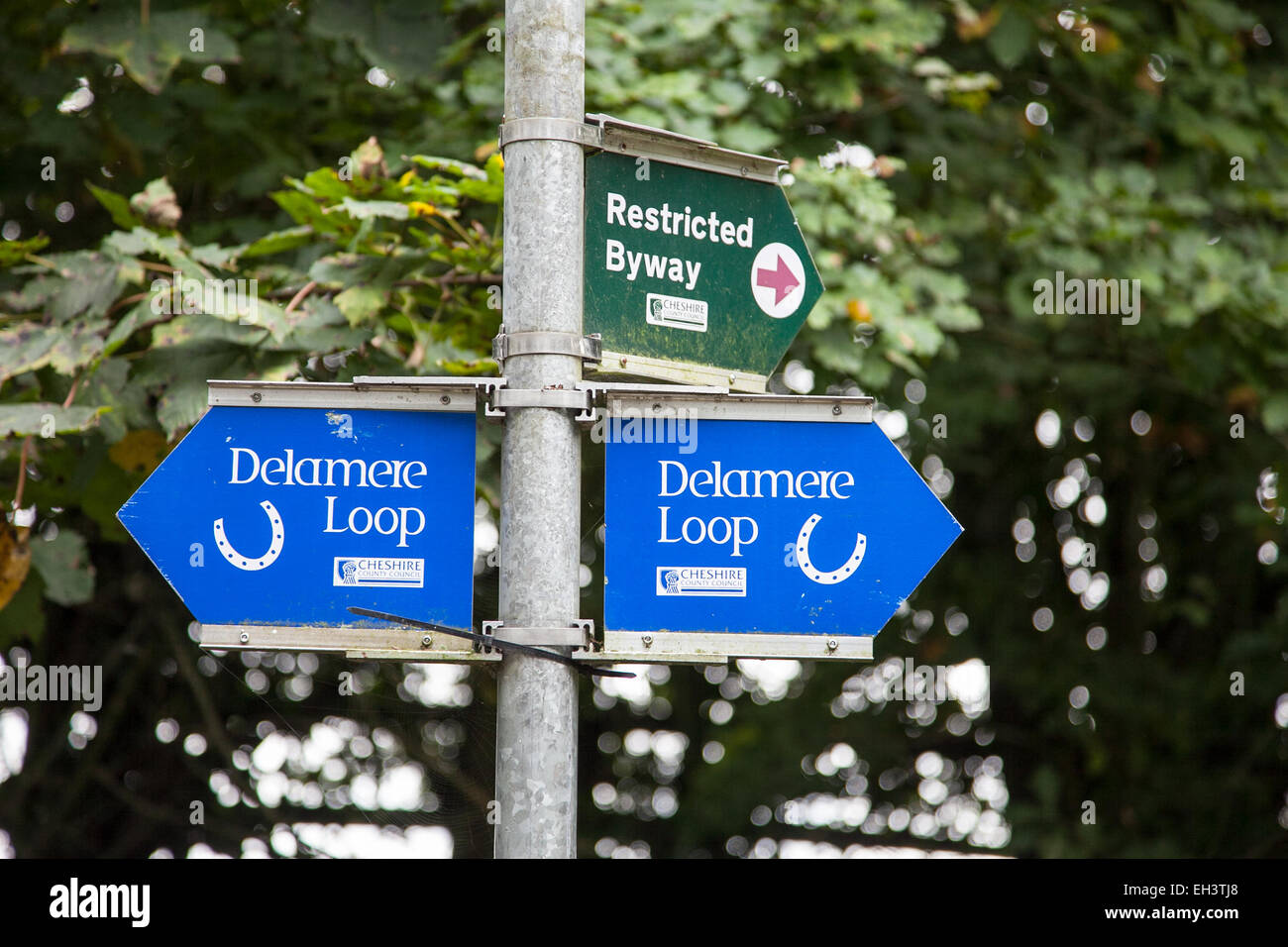 Signs for the Delamere Loop, a bridleway  for horses, near Delamere Forest Cheshire England UK Stock Photo