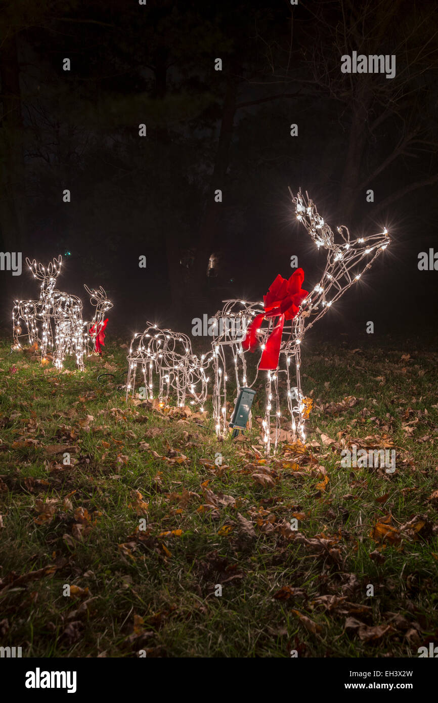 Christmas light decorations shaped like a group of deer Stock Photo