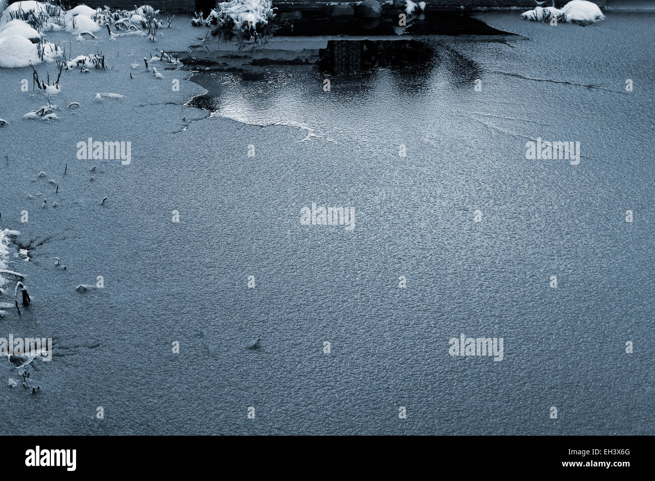 Frozen garden pond Stock Photo - Alamy