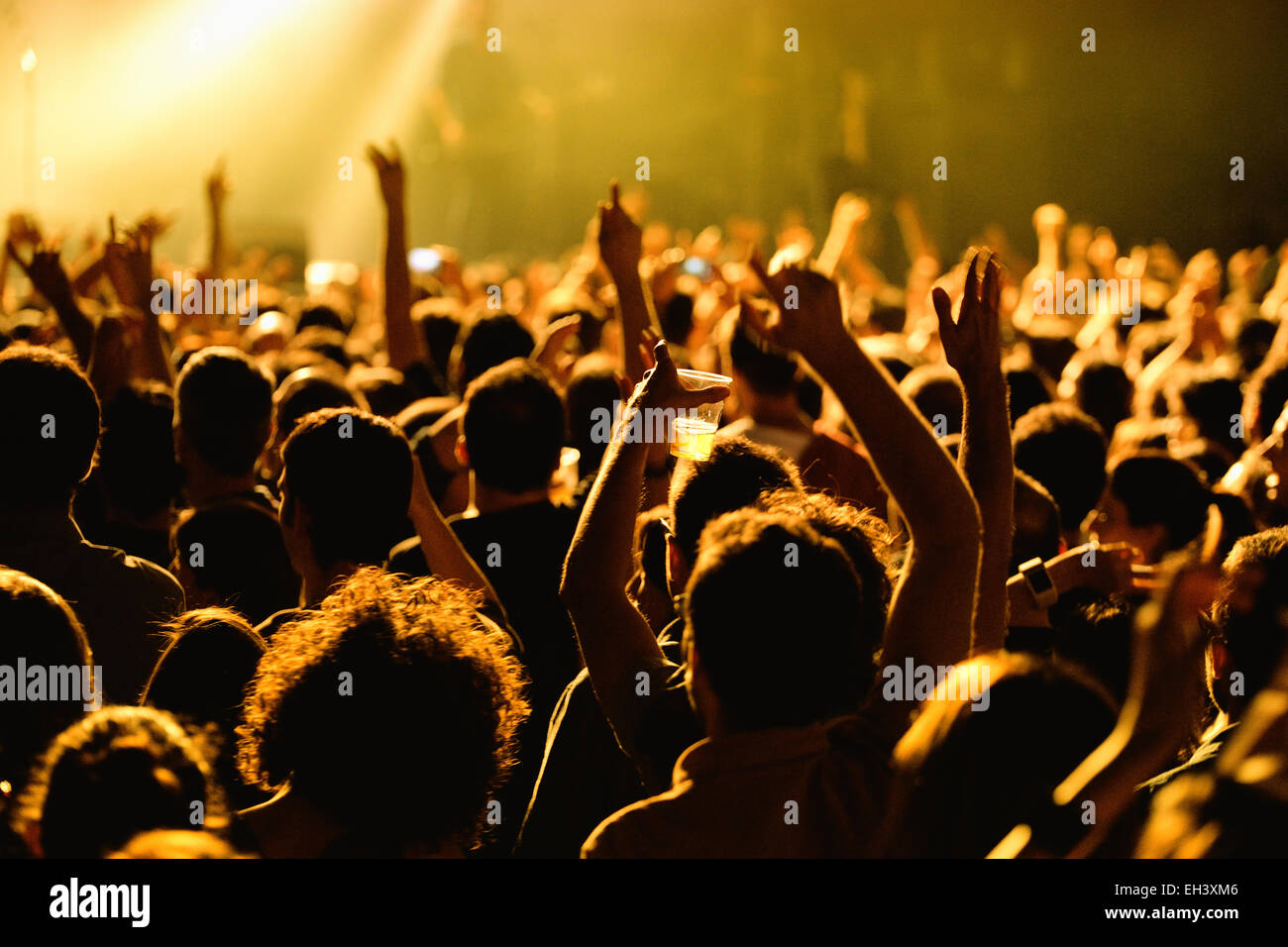 BARCELONA - MAY 16: Crowd in a concert at Razzmatazz stage on May 16, 2014 in Barcelona, Spain. Stock Photo