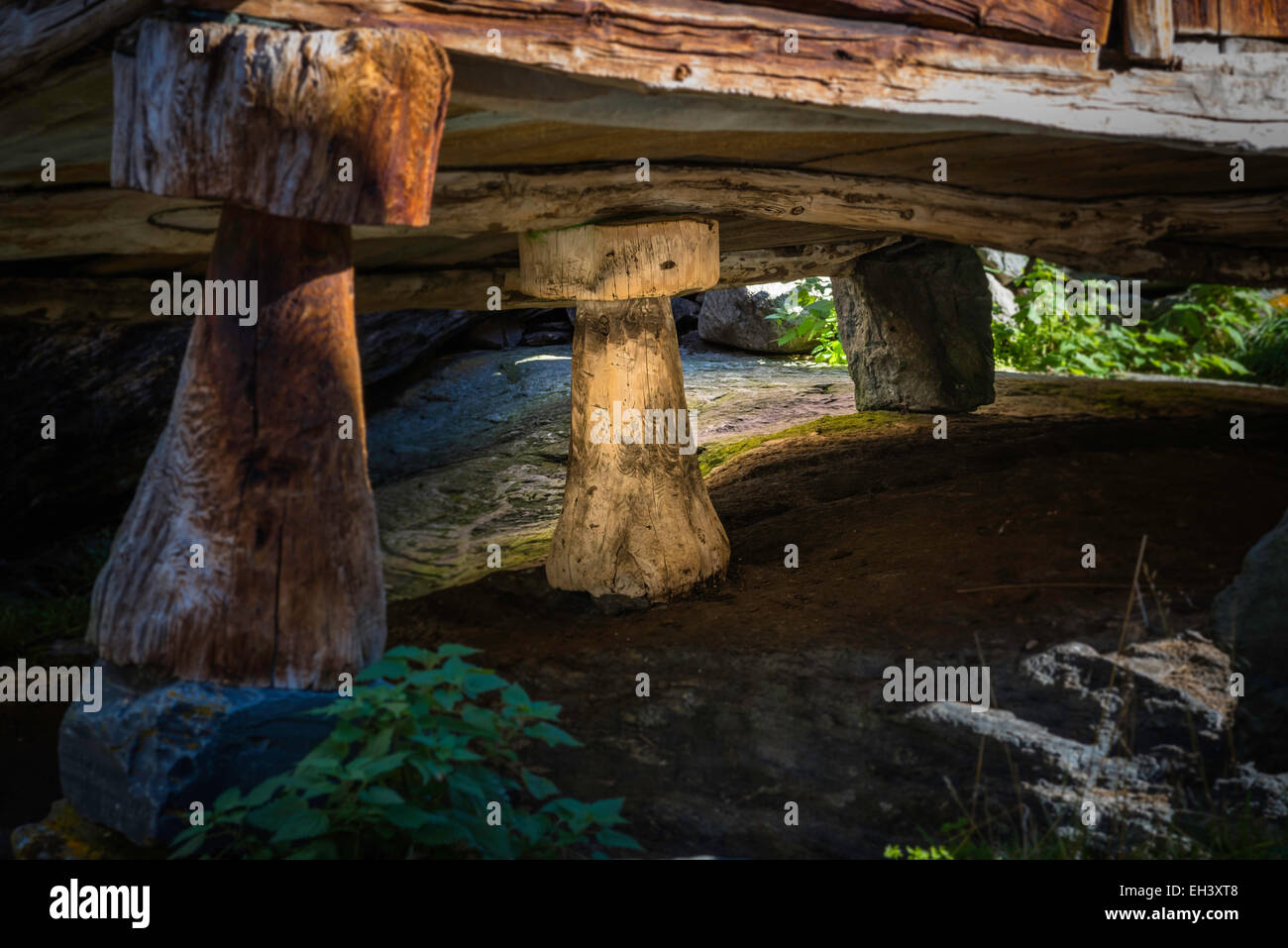 Detail of foundation piers (staddles) in timber building at the restored farm of Sinjarheim in Aurlandsdalen, Norway Stock Photo