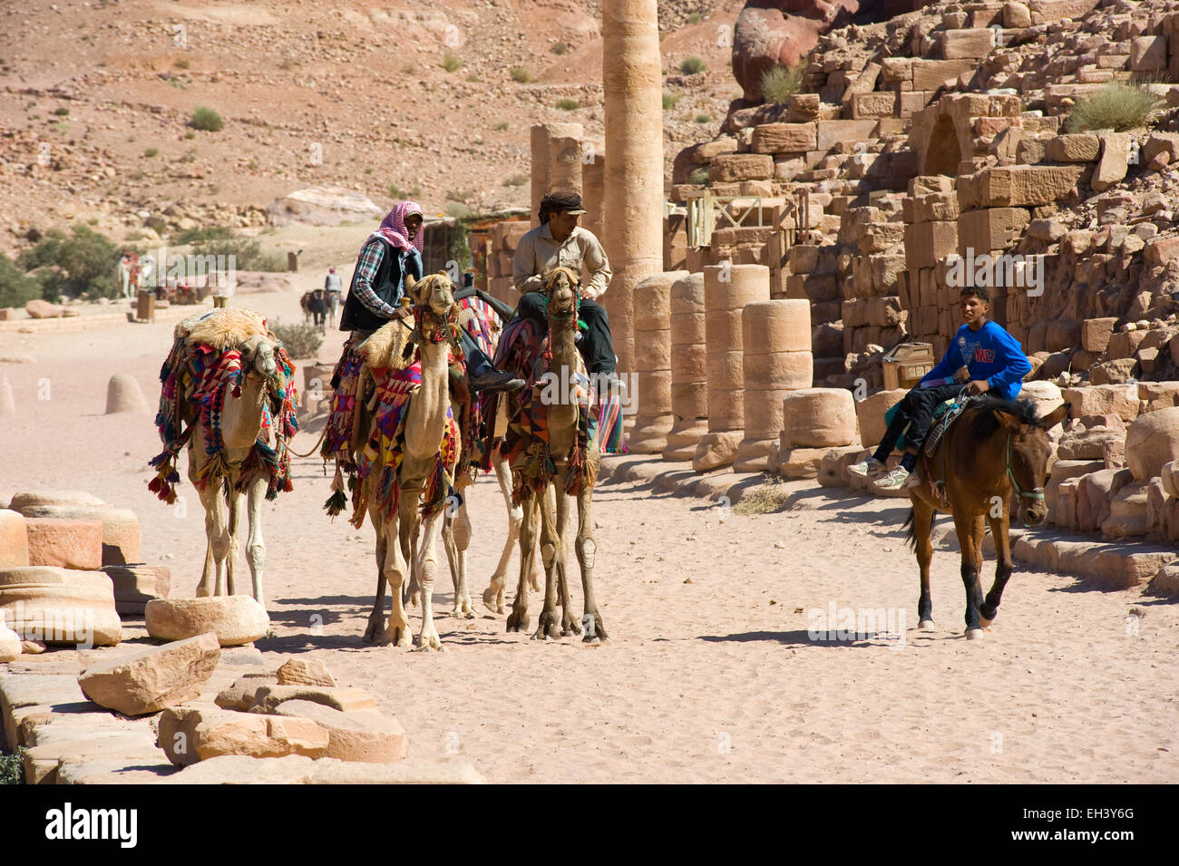 PETRA,  JORDAN - OCT 12, 2014: Camels and a donkey with owners on their backs riding in Colonnaded street in Petra in Jordan Stock Photo