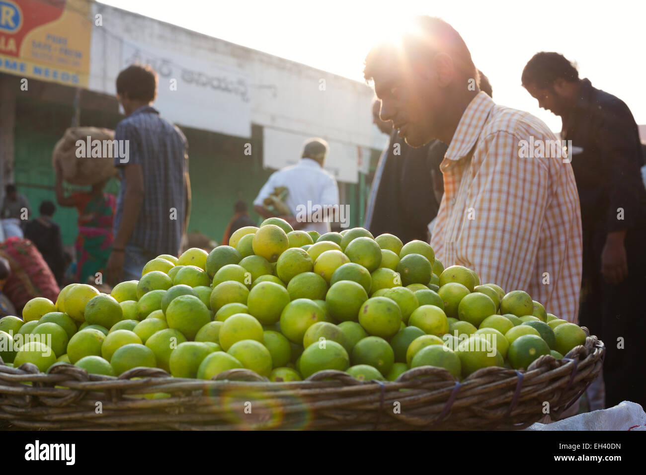 limes for sale at monda market in secunderabad,india Stock Photo Alamy
