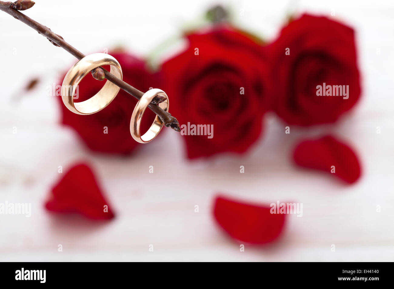 Red roses petals Stock Photo