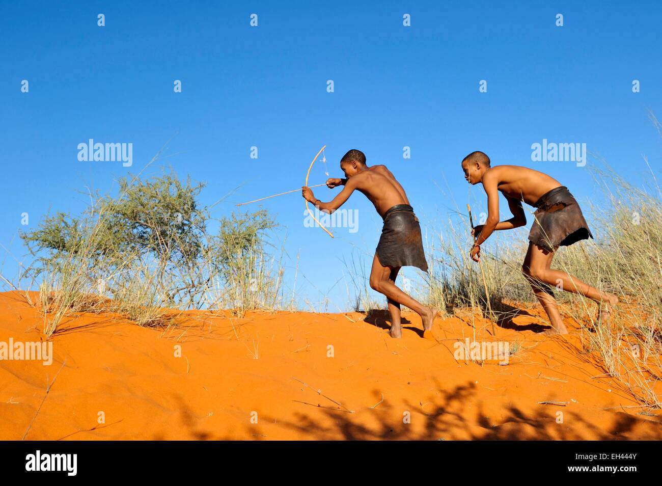 Namibia, Kalahari desert, Intu Afrika Kalahari Game Reserve, morning walk with Bushmen Stock Photo