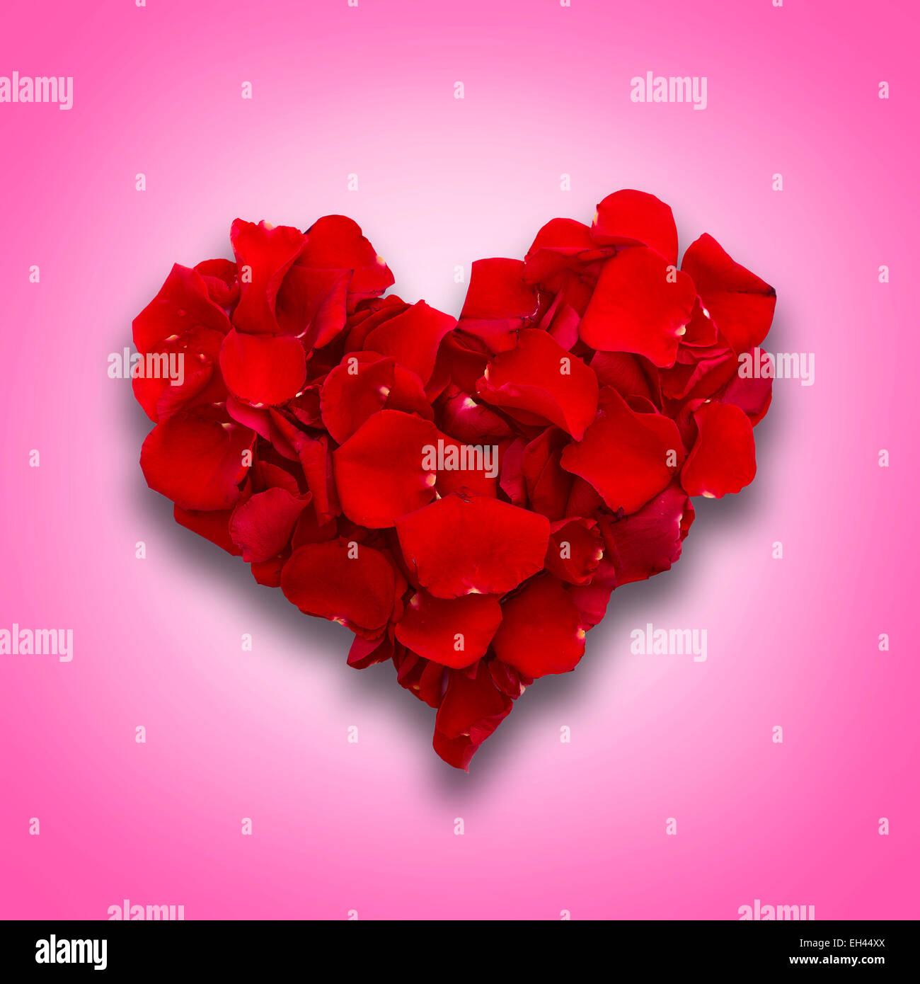 Bed Of Roses Petals Valentins Background High-Res Stock Photo