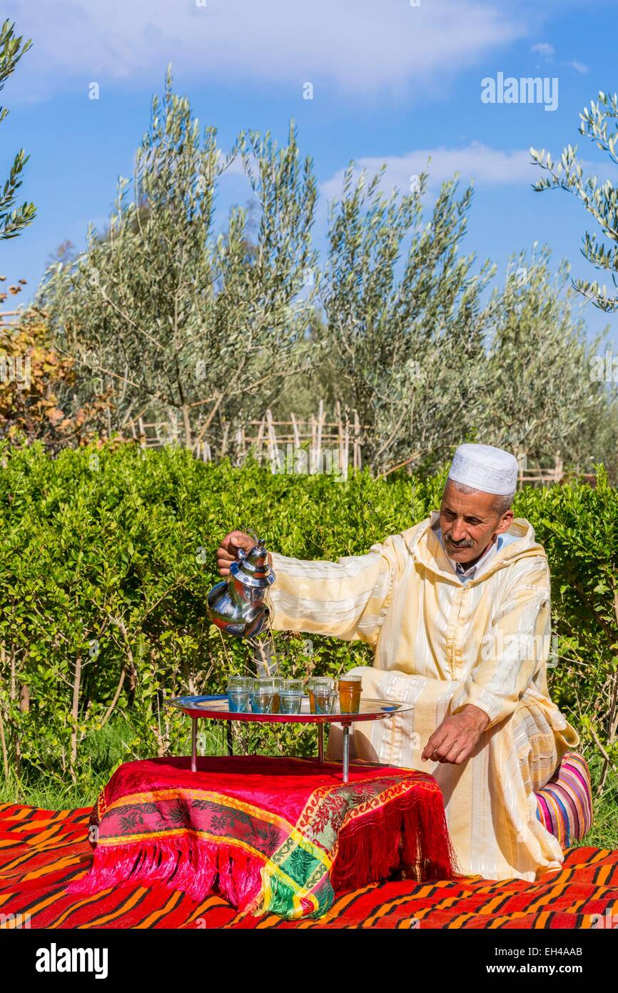 Morocco, High Atlas, Marrakech, Douar Dchera, cooking workshop leader Tarik Harabida, mint tea server Stock Photo