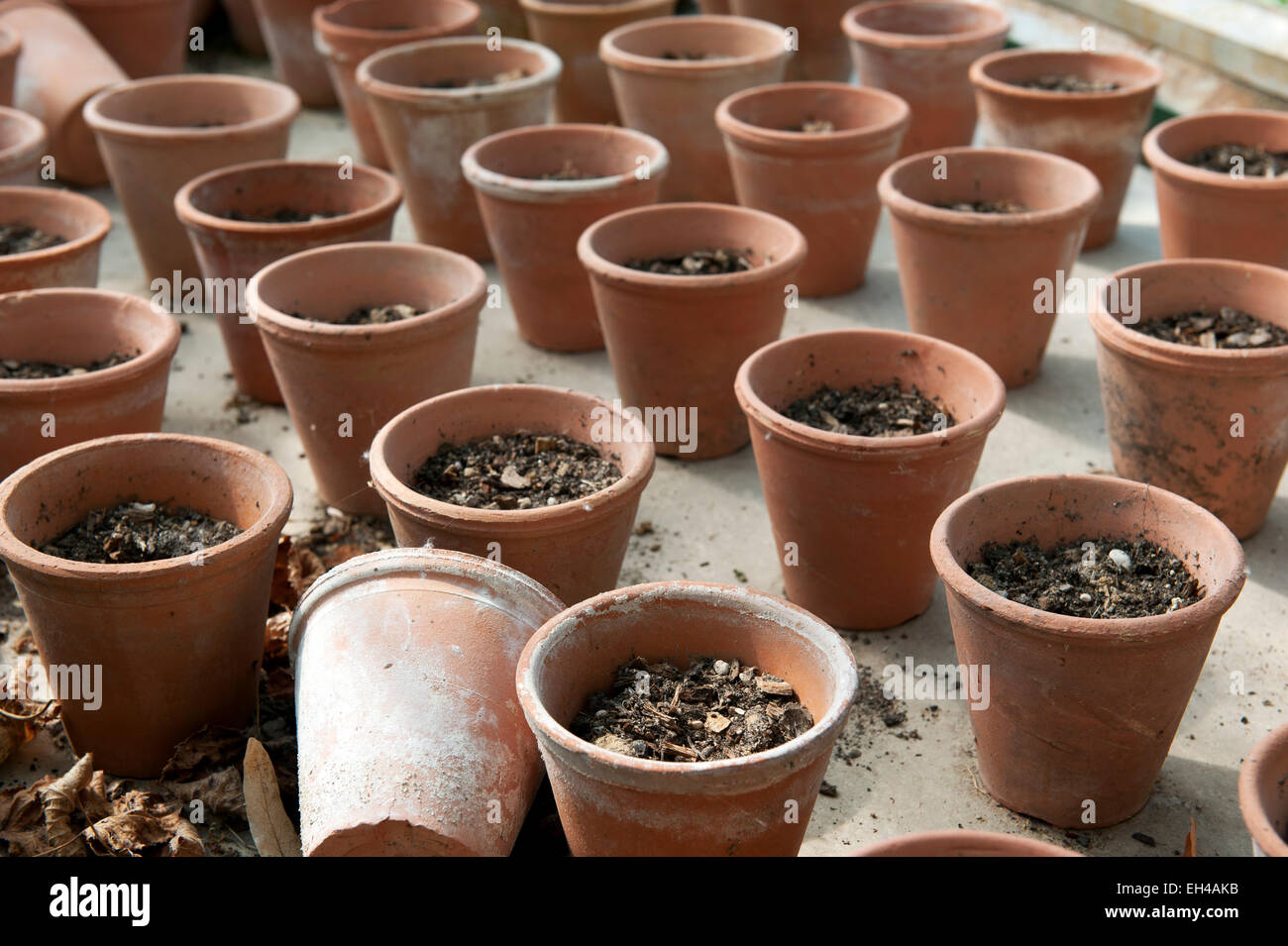 Clay pots filled with soil in the greenhouse Stock Photo