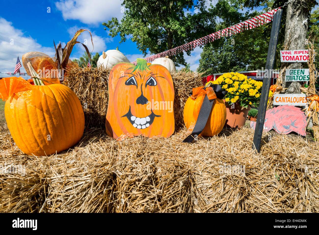 United States, Arkansas, West Helena, seed shop selling pumpkins for