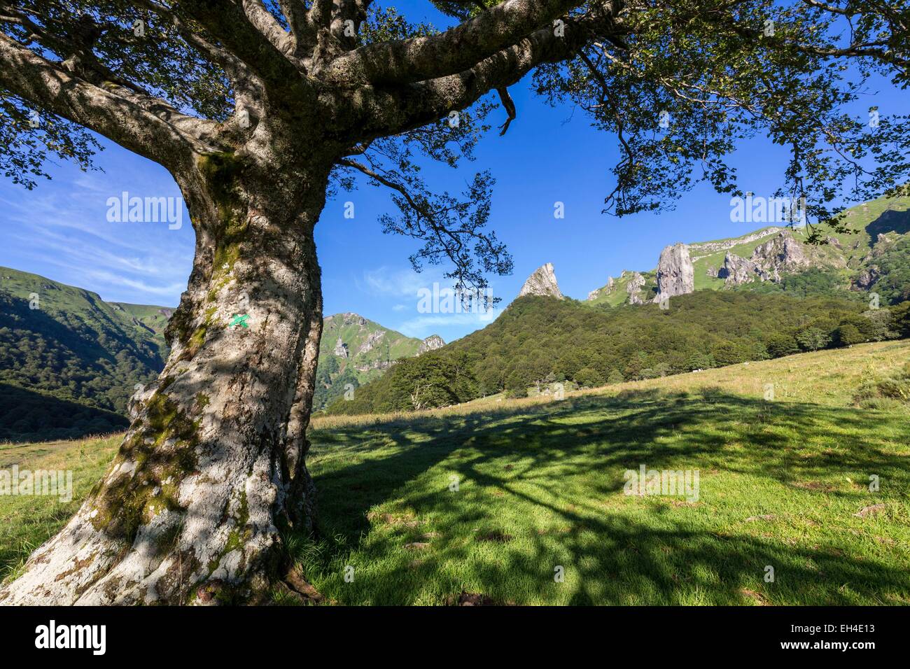 France, Puy de Dome, Chambon sur Lac, regional Natural reserve of the volcanoes of Auvergne, massif of Sancy, the nature reserve of the Valley of Chaudefour, in center the rock of the CrΩte de Coq and in the right the rock of the Dent de la Rancune Stock Photo