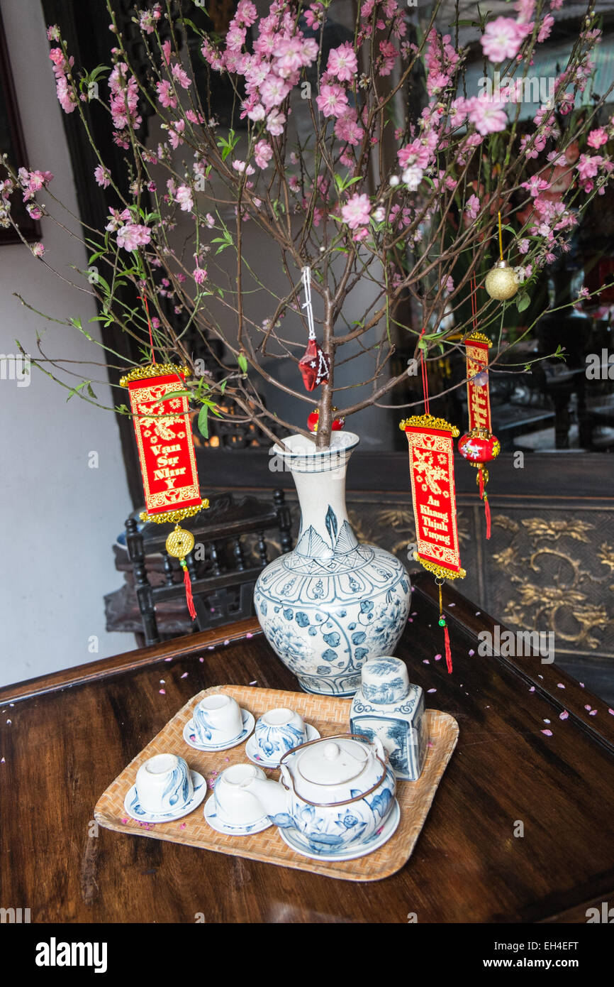 Flowers on display. Han Noi,Hanoi,Vietnam,Tet,spring,vase,lobby,hotel ...
