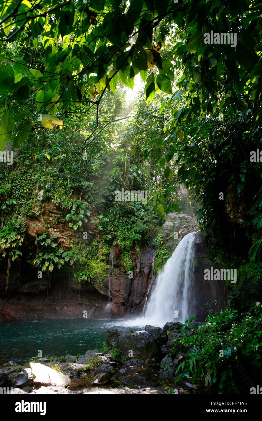 France, Guadeloupe, Basse Terre, Guadeloupe National Park, a UNESCO Biosphere Reserve, Saut de la Lezarde cascade Stock Photo