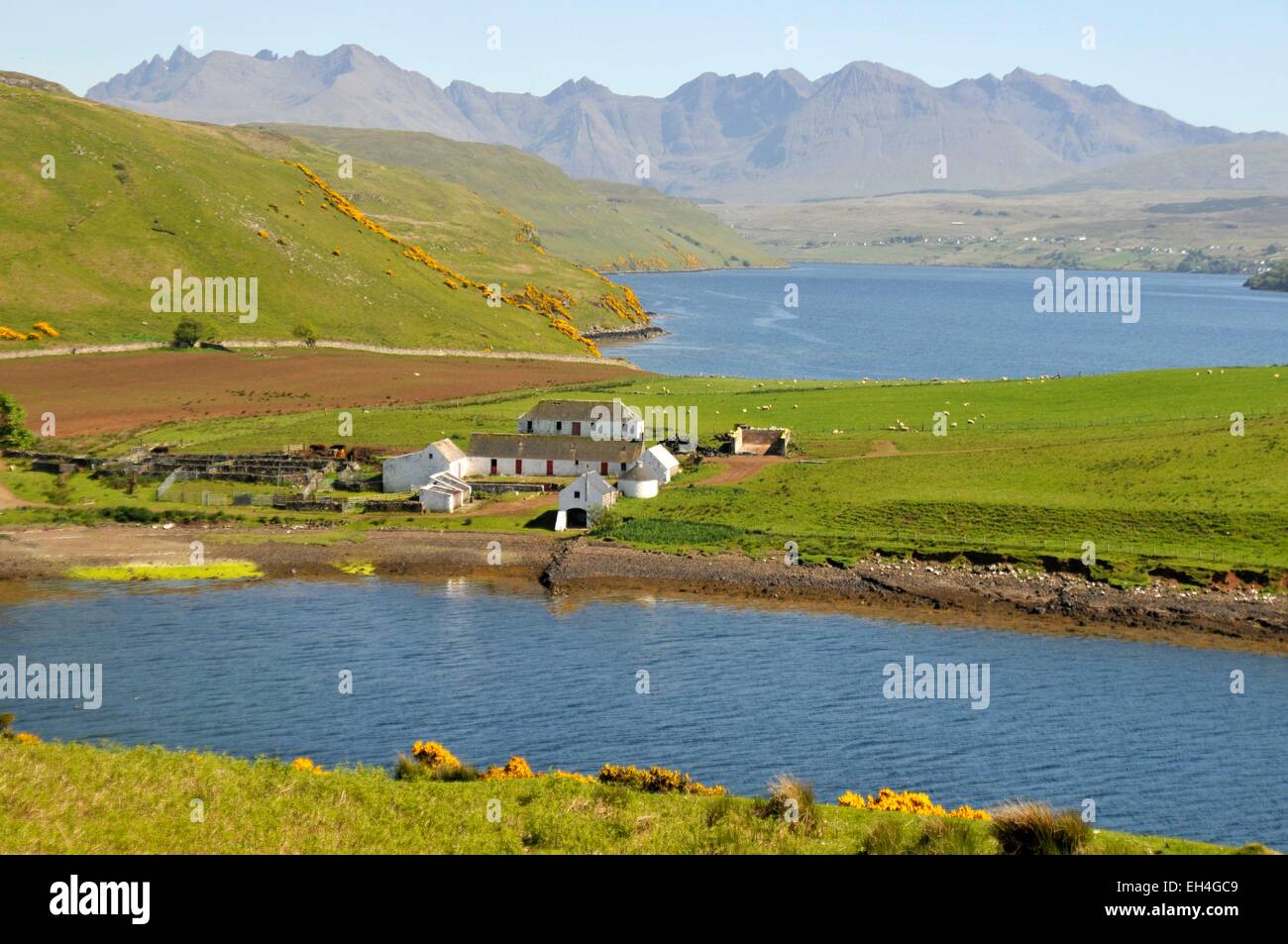 United Kingdom, Scotland, Highlands, Inner Hebrides, Isle of Skye, farm near Coillore, the Cuillin mountain in the background Stock Photo