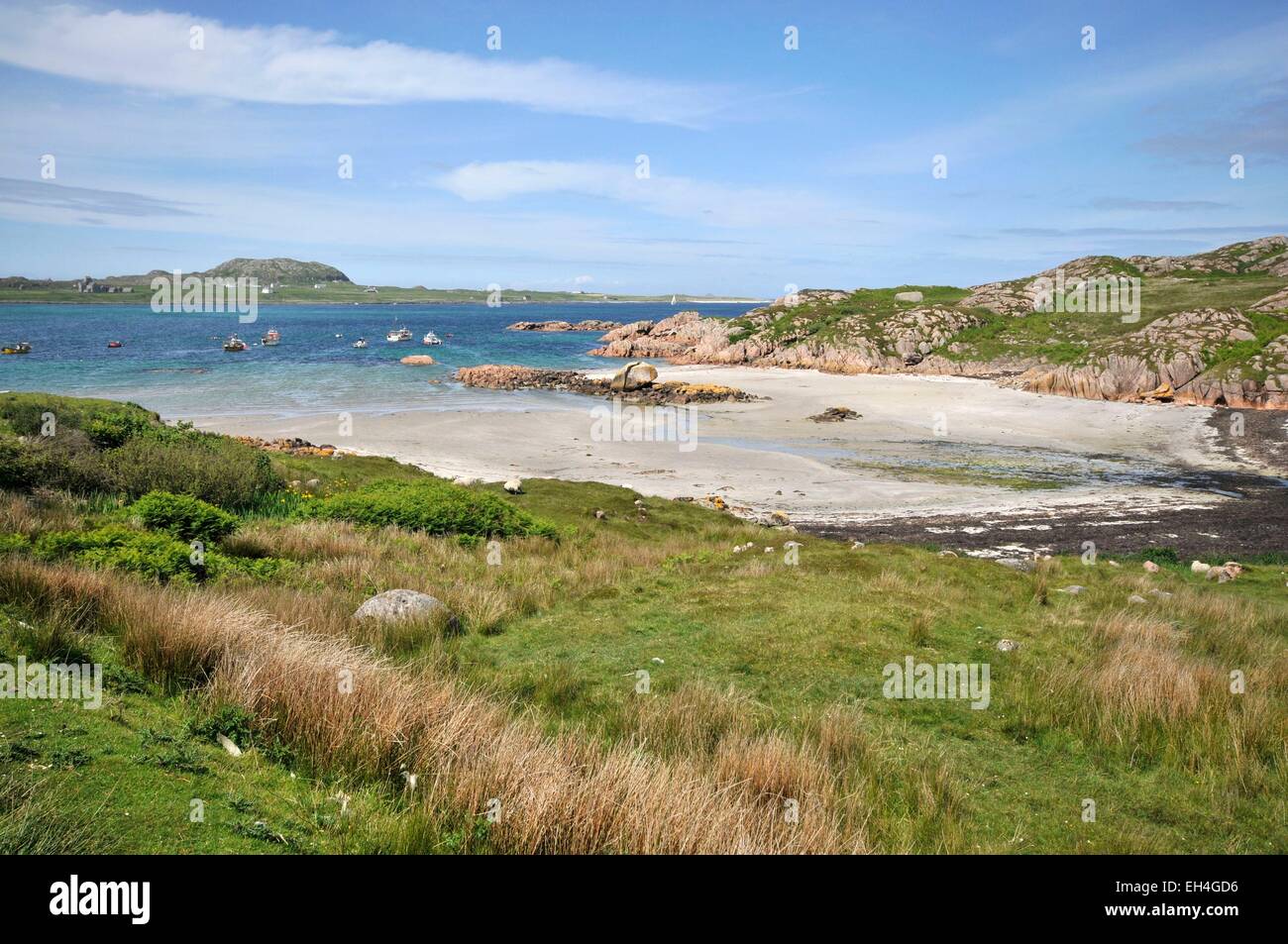 United Kingdom, Scotland, Isle of Mull, Fionnphort, extreme southwest of the island of Mull, The Ross of Mull, Knockvologan beach, Iona Island in the background Stock Photo
