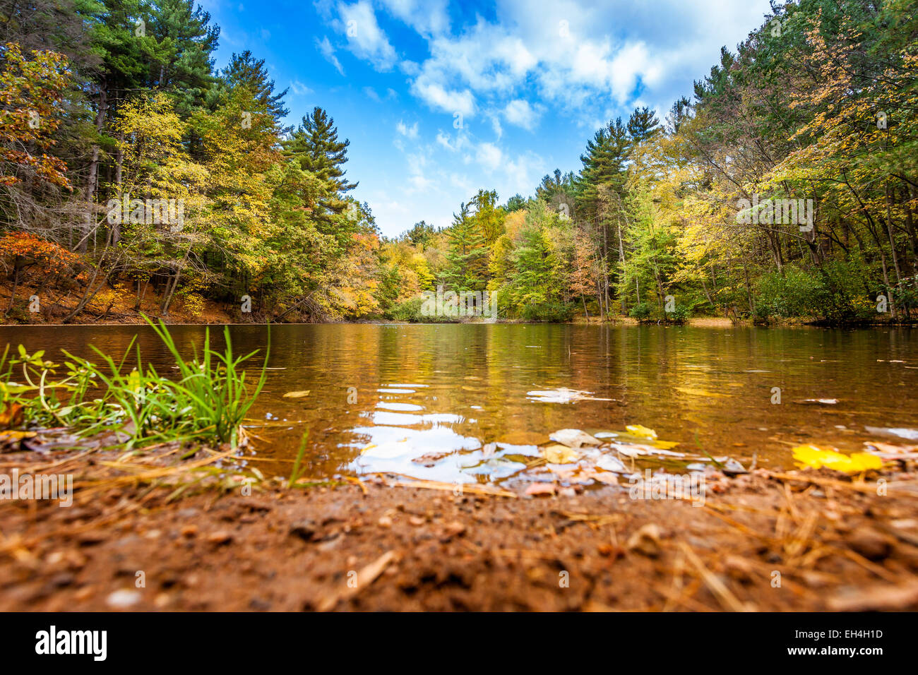 Small pond in the middle of the forest in autumn. Stock Photo