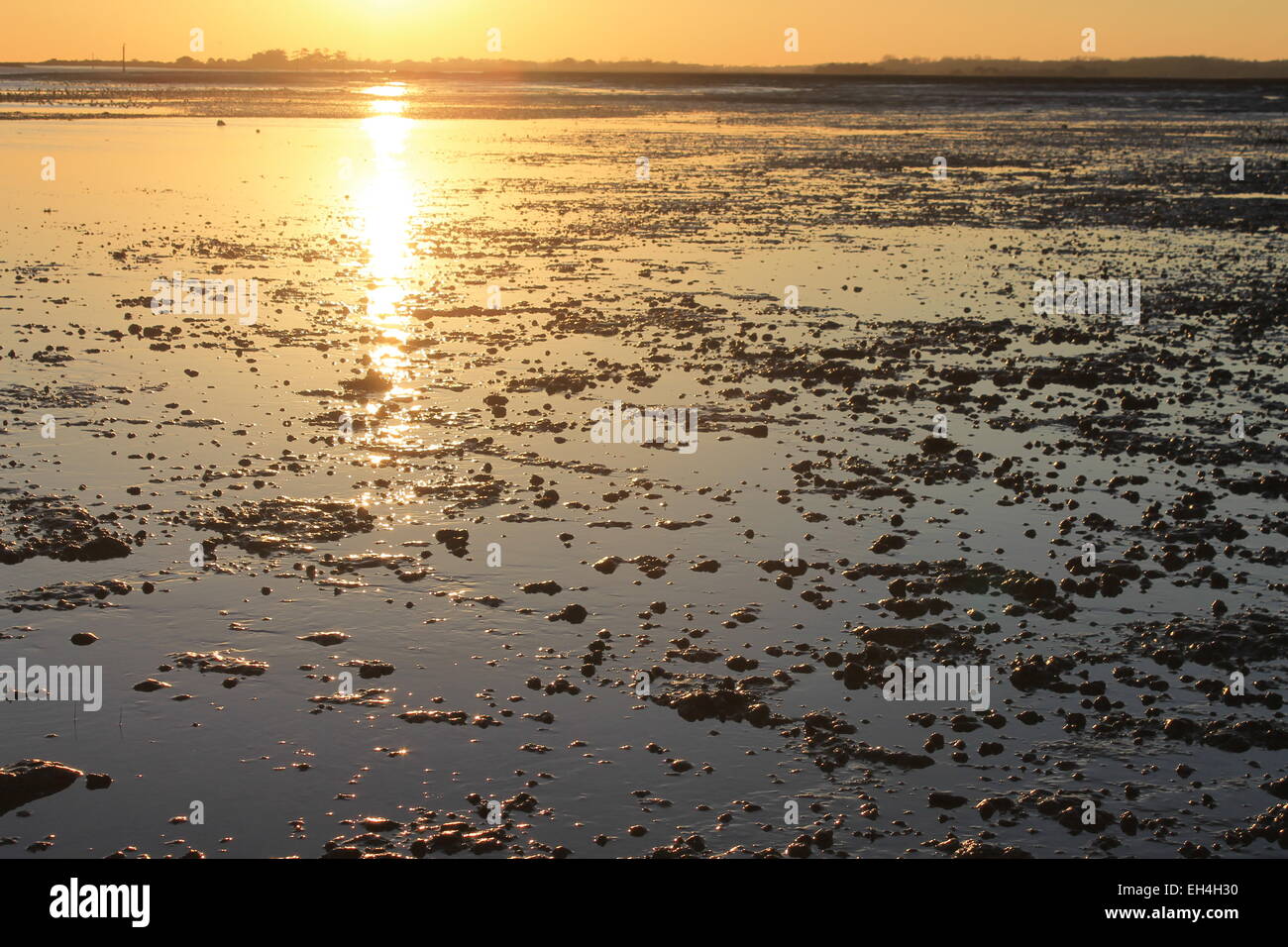Sunset over Needs Ore Point at the mouth of the Beaulieu River from Lepe foreshore, Hampshire, England, UK Stock Photo