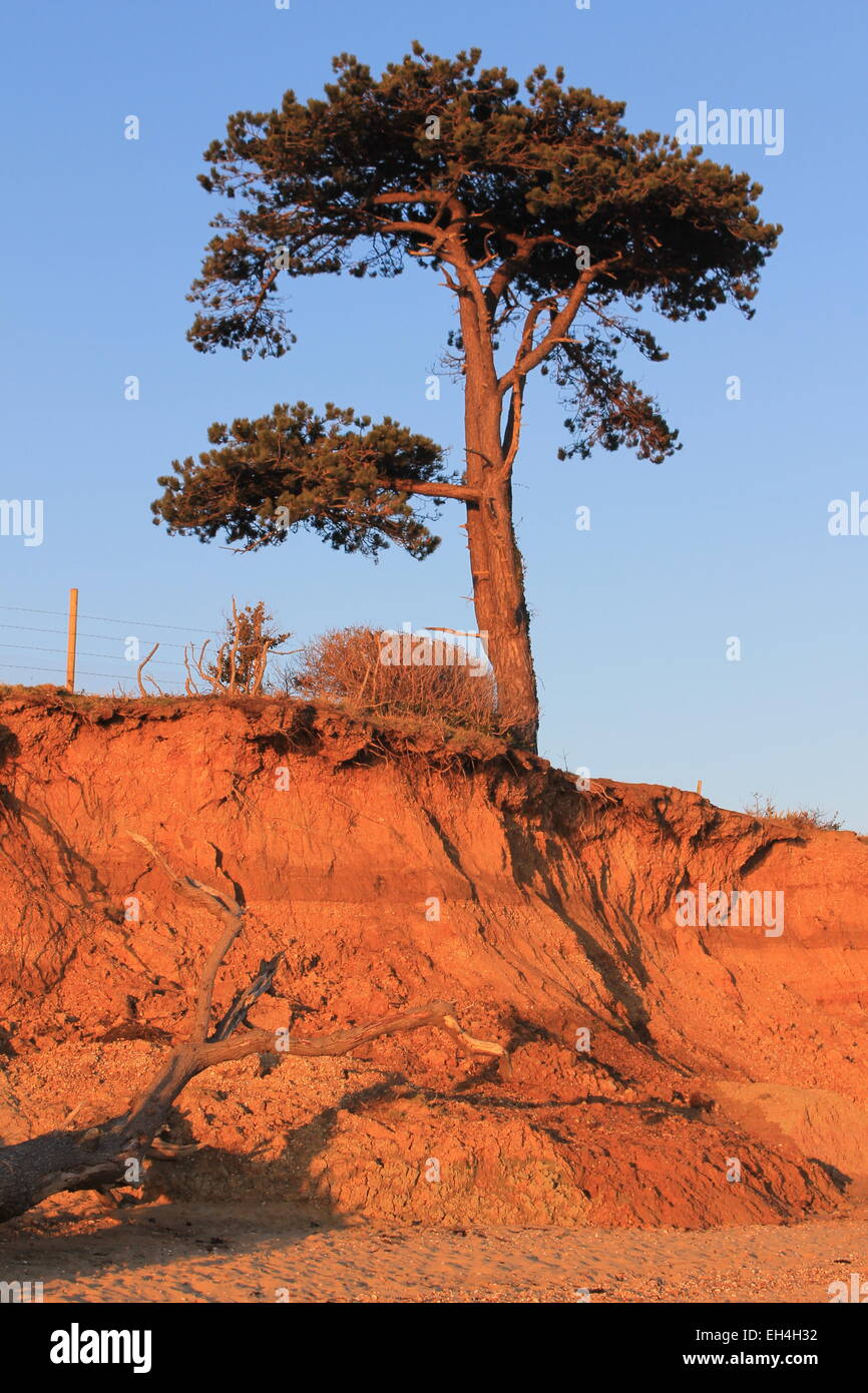 Clinging to cliff hires stock photography and images Alamy
