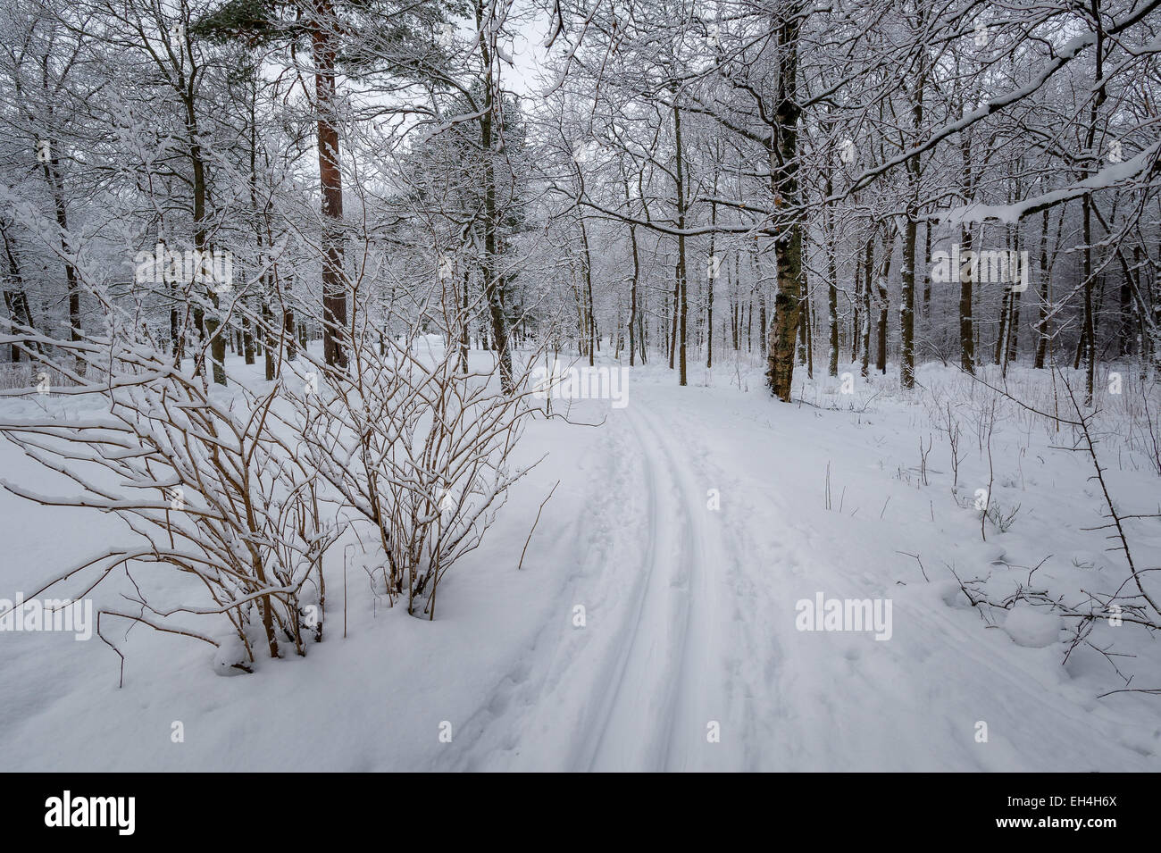 Ski piste Stock Photo